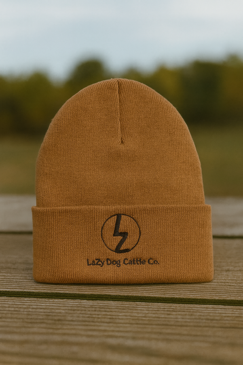 ChatGPT Image Dec 12, 2025, 02_40_08 PM.png