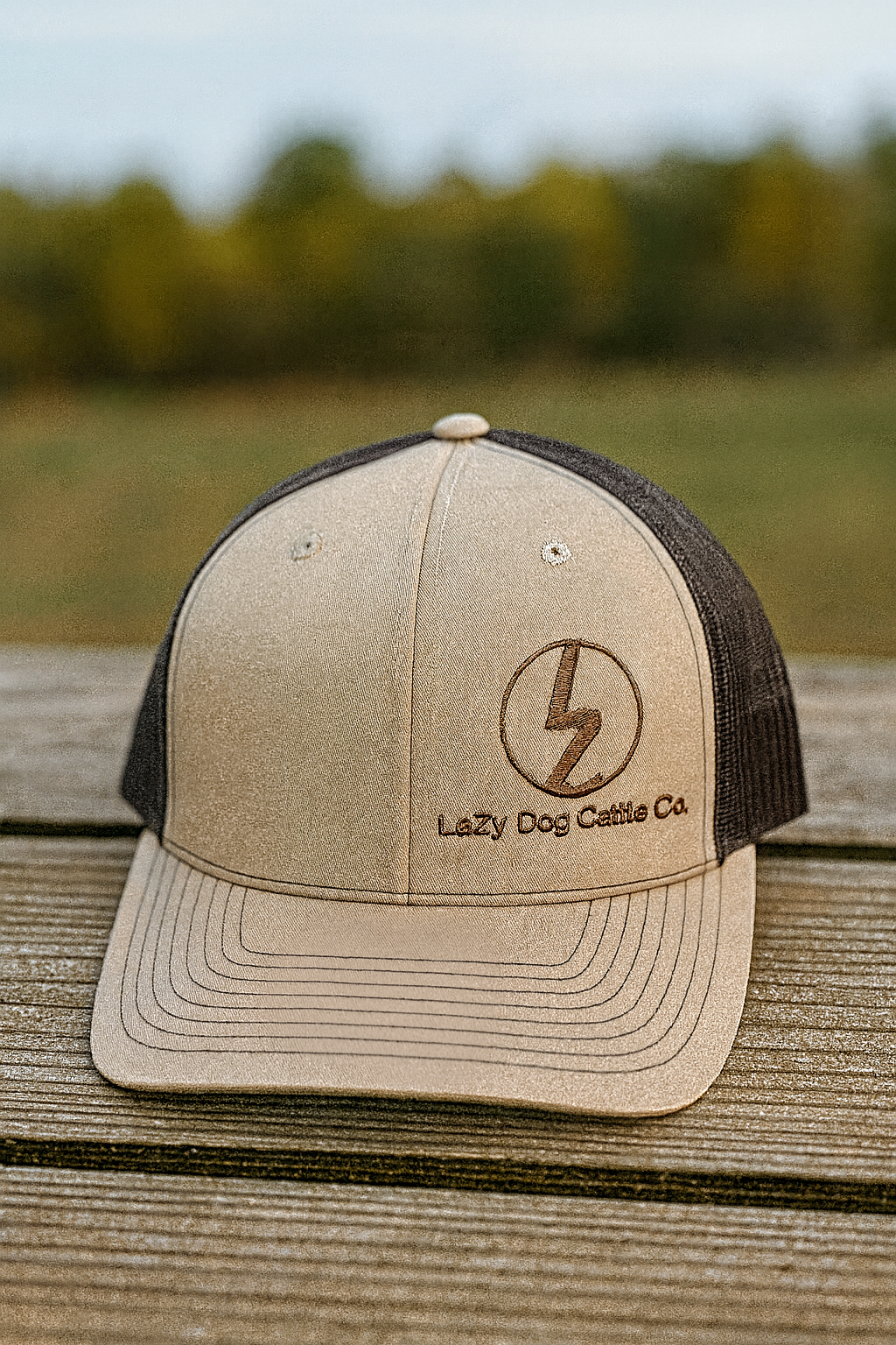 Classic Embroidered Snap-Back