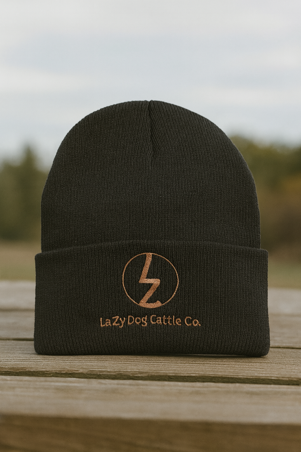 Carhartt Knit Beanie