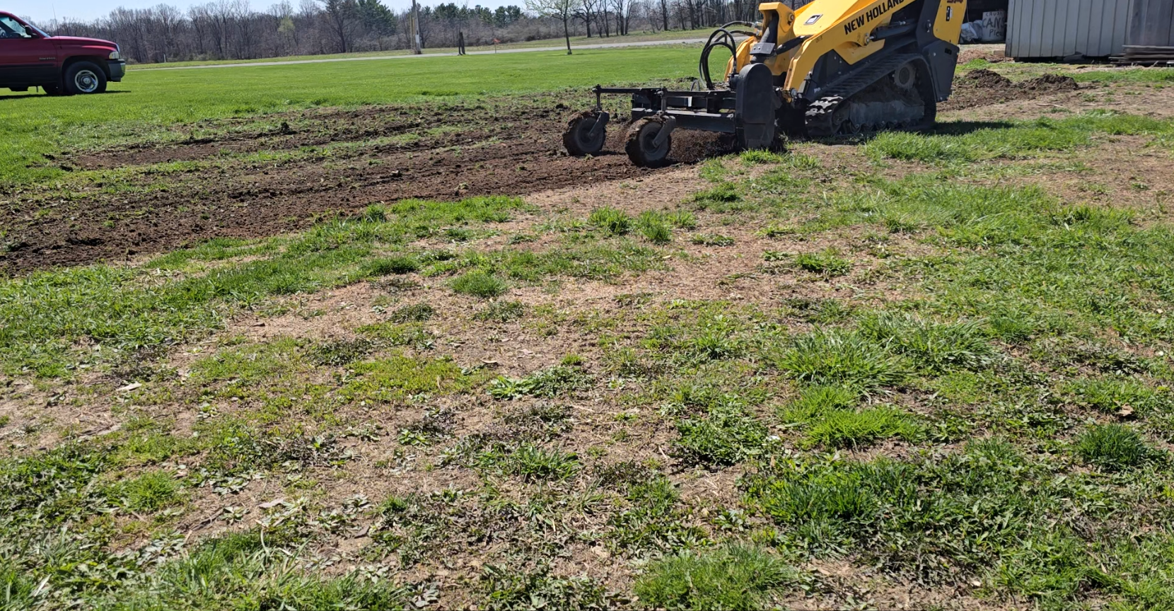 Reinvigorating a problem area in the lawn