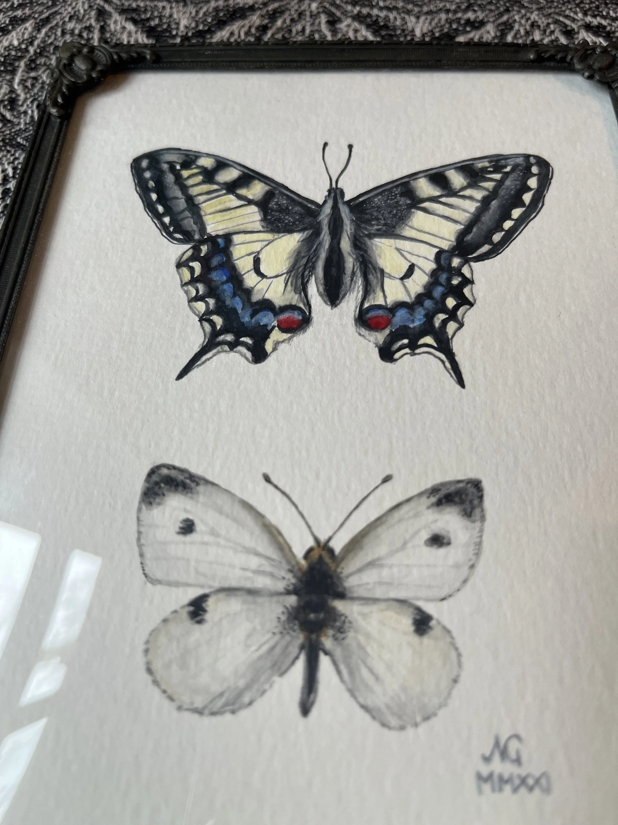 watercolour painting of Swallowtail and Small White butterflies