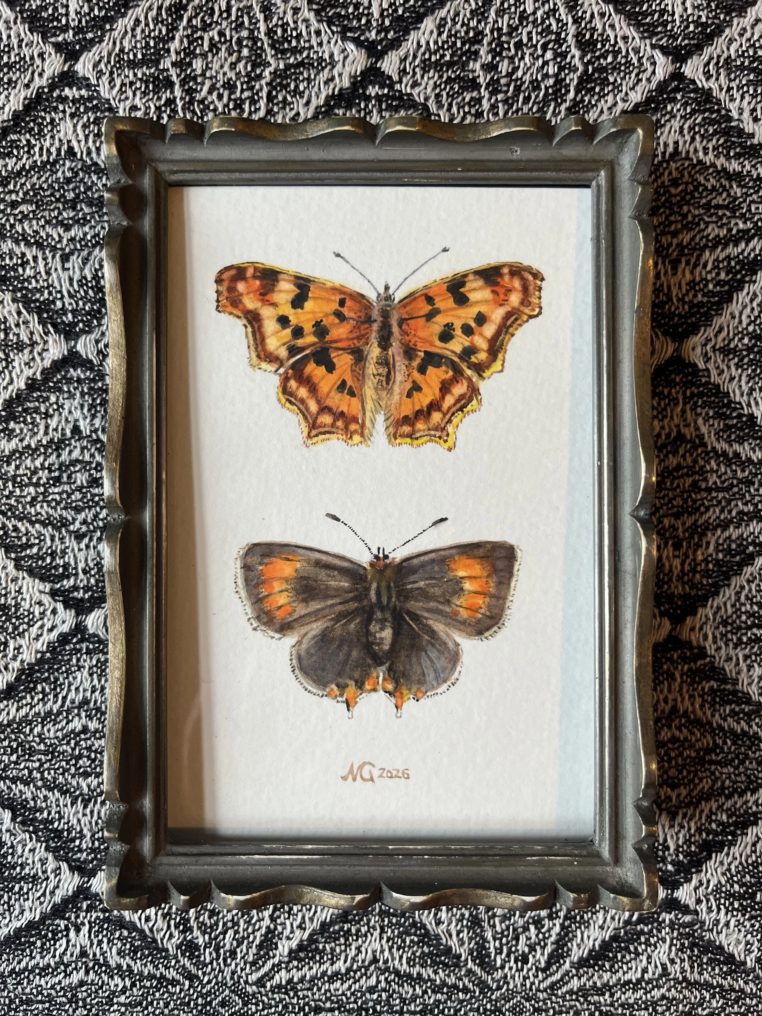 watercolour painting of Comma and Brown Hairstreak butterflies