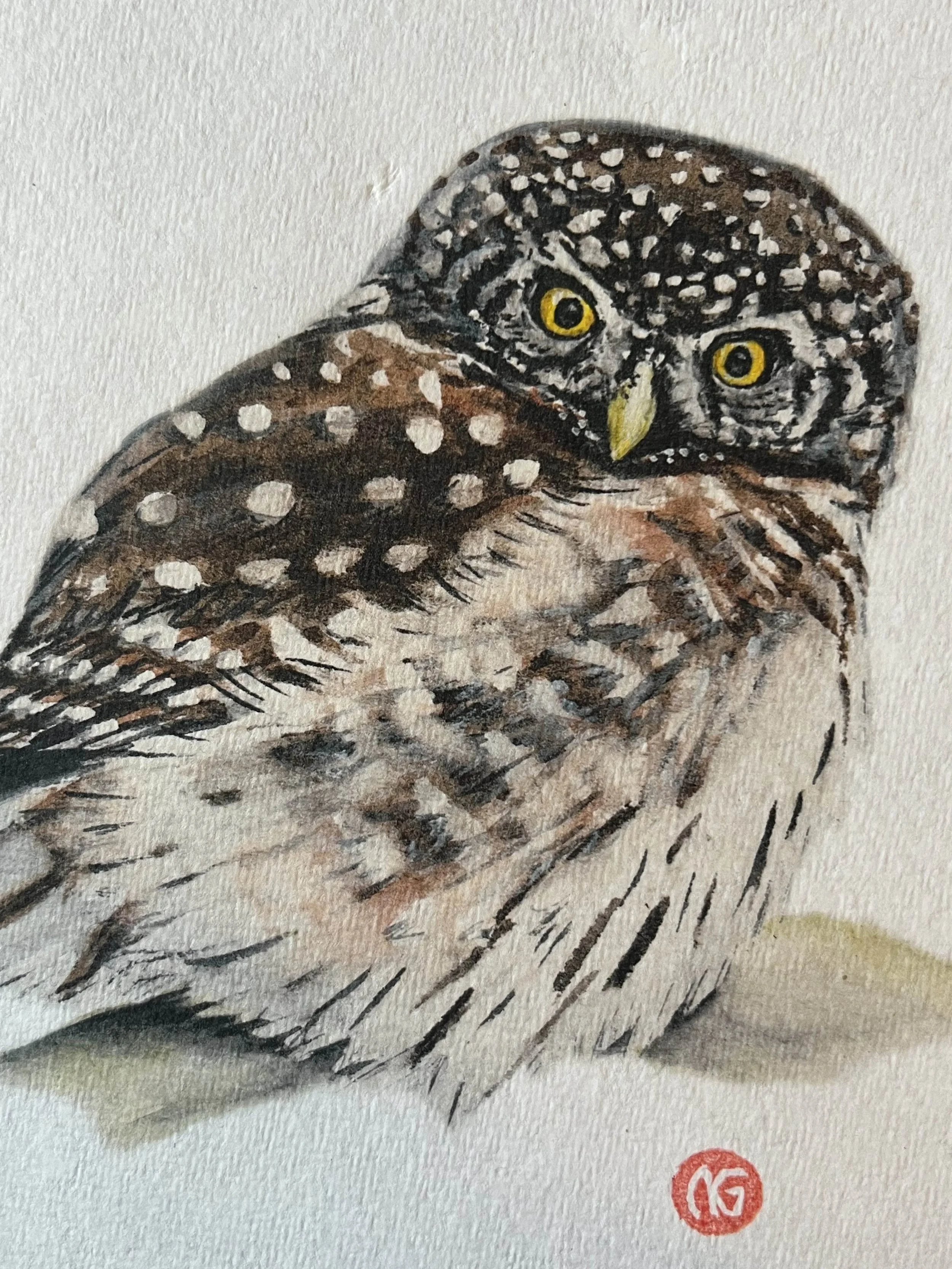 art print of a watercolor pygmy owl