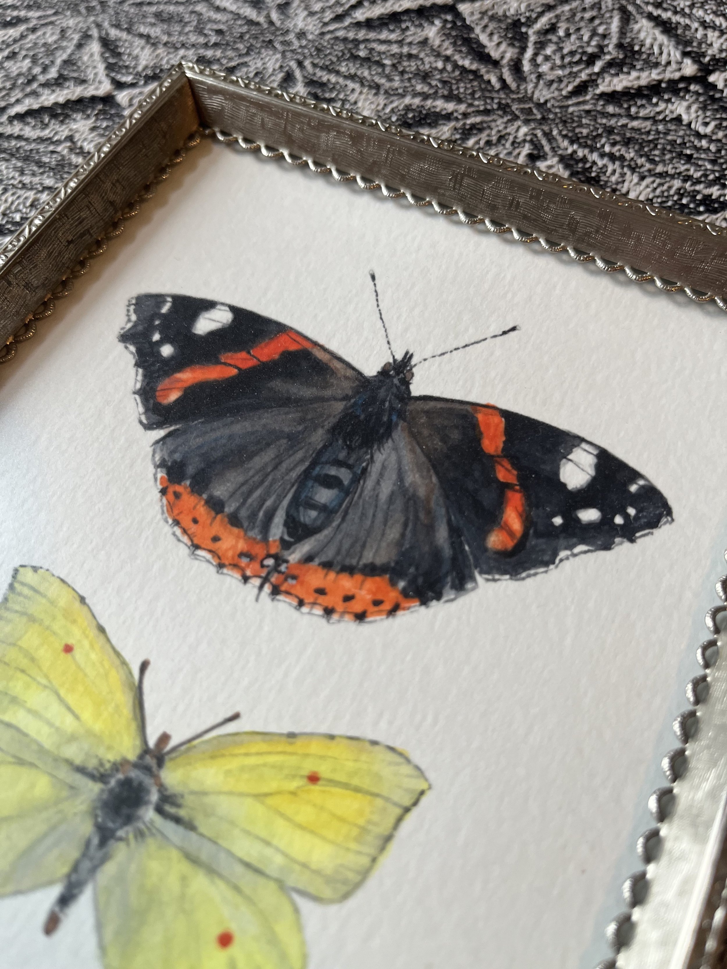 watercolor painting of Red Admiral and Brimstone butterflies