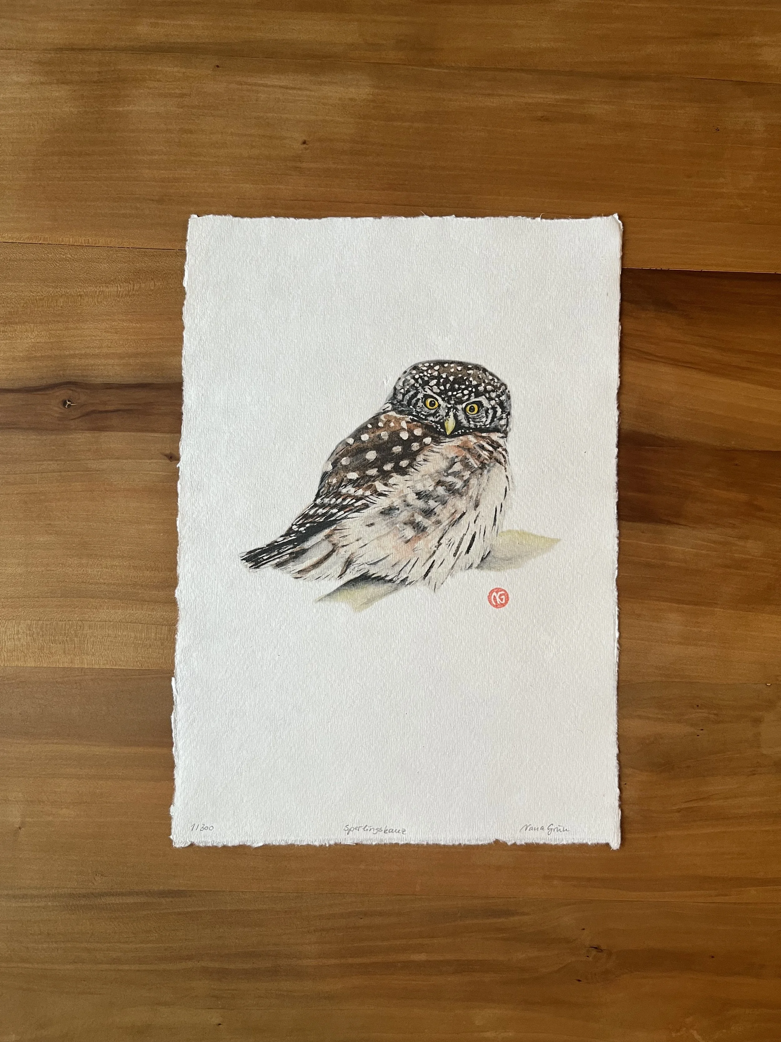 Fine art print of a handmade watercolor painting of a small owl with yellow eyes, perched on a light surface, on textured white paper, signed by the artist, titled 'Sperlingskauz'.