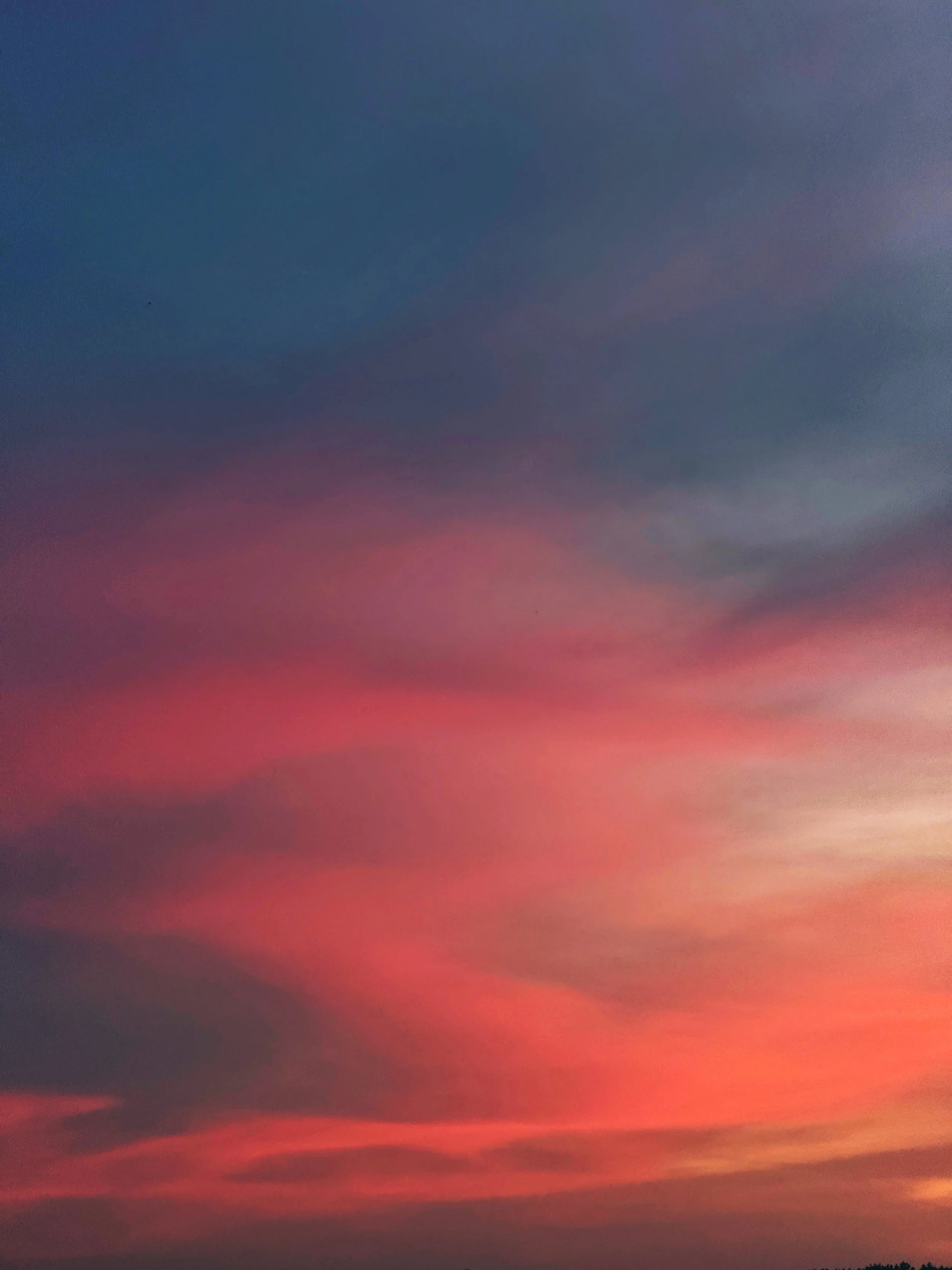 IMG_9004_SnapseedCopy 2.jpg