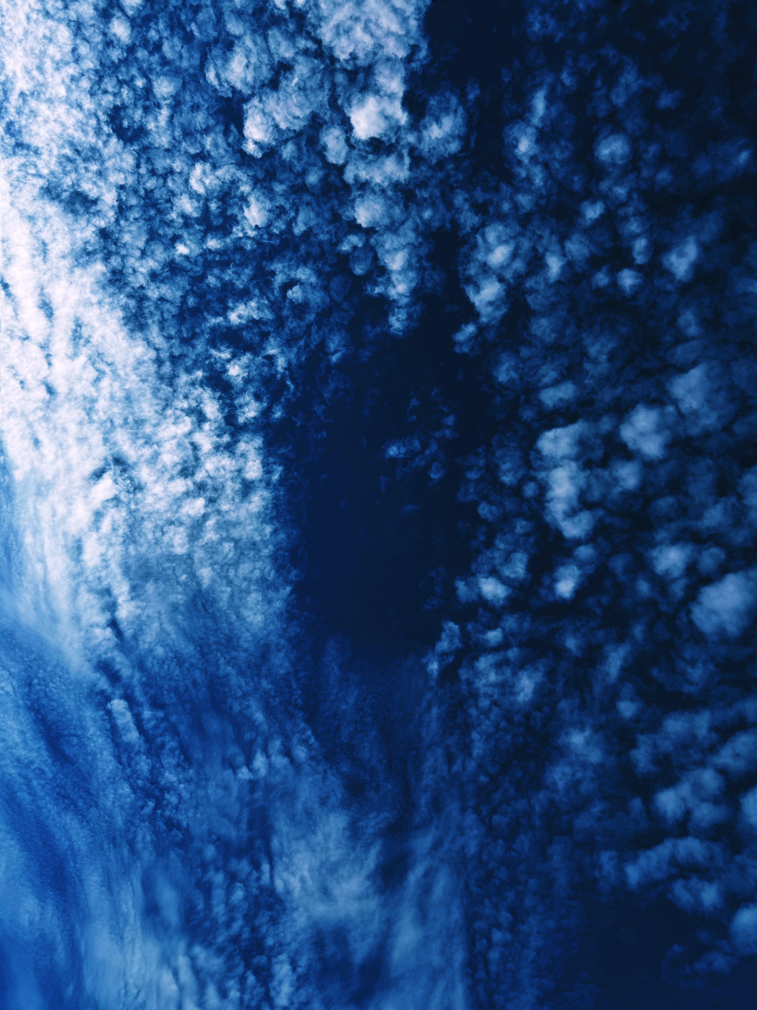 IMG_8971_SnapseedCopy 2.jpg