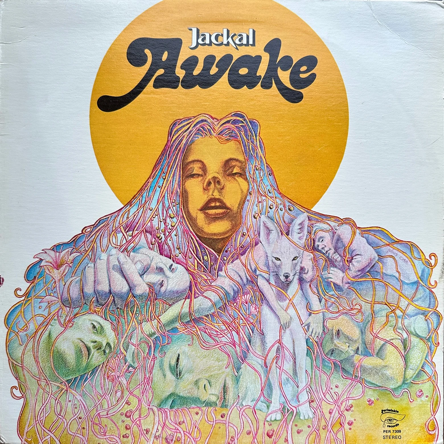 JACKAL_awake-F-cover.jpg