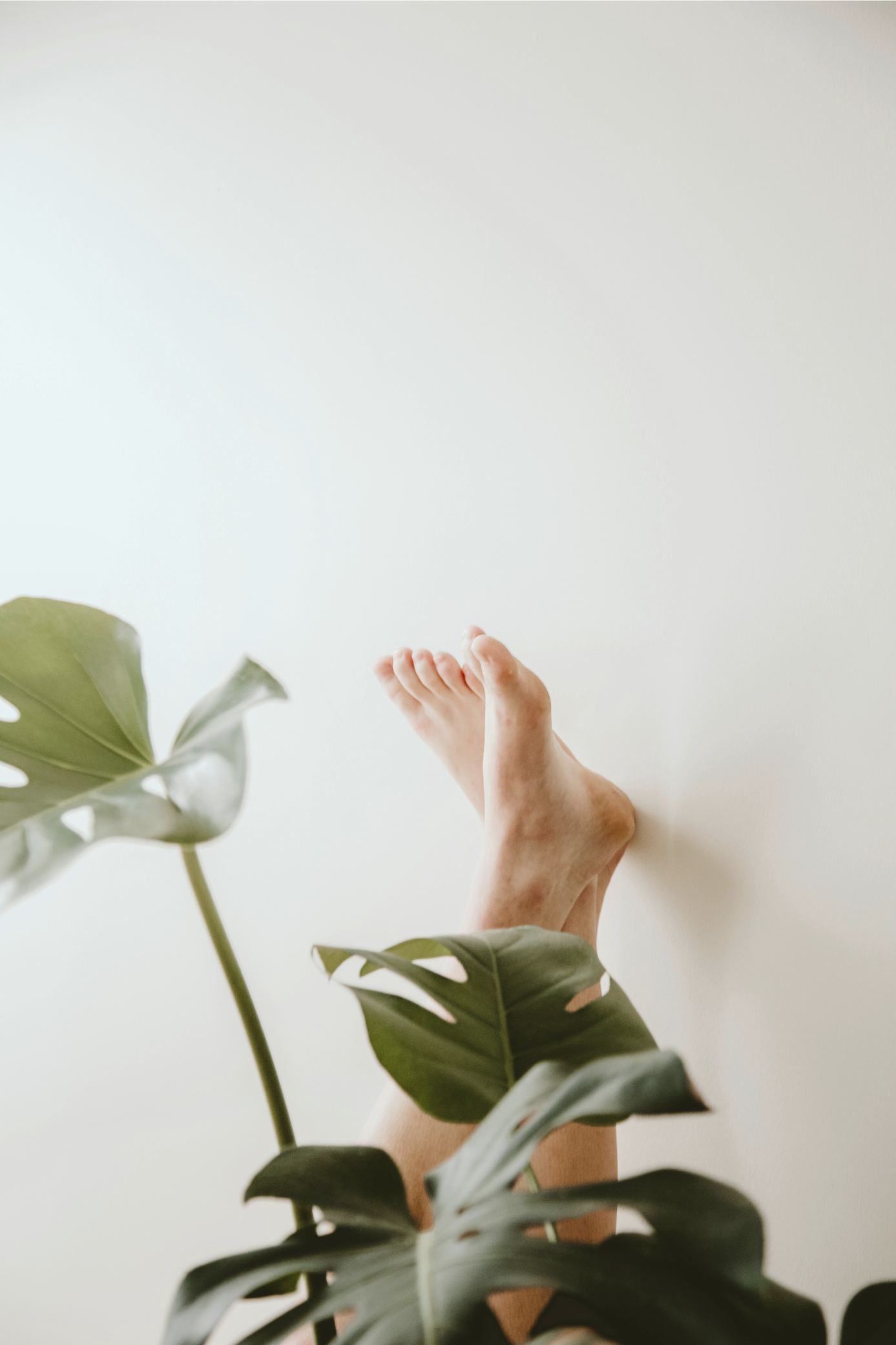 A person's bare feet and legs are visible as they lie on their back on a white surface, partially obscured by large green leaves of a plant.