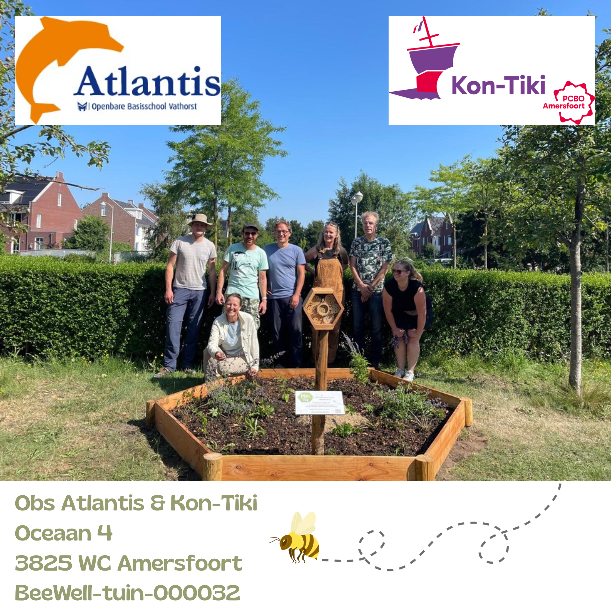 Beewell-tuin-000032 is aangelegd bij basisscholen OBS Atlantis en Kon-tiki in de wijk Vathorst in Amersfoort. Samen met andere bloemrijke plekken in de omgeving vormt deze BeeWell-tuin schakels in het Bijenduct van Nederland.