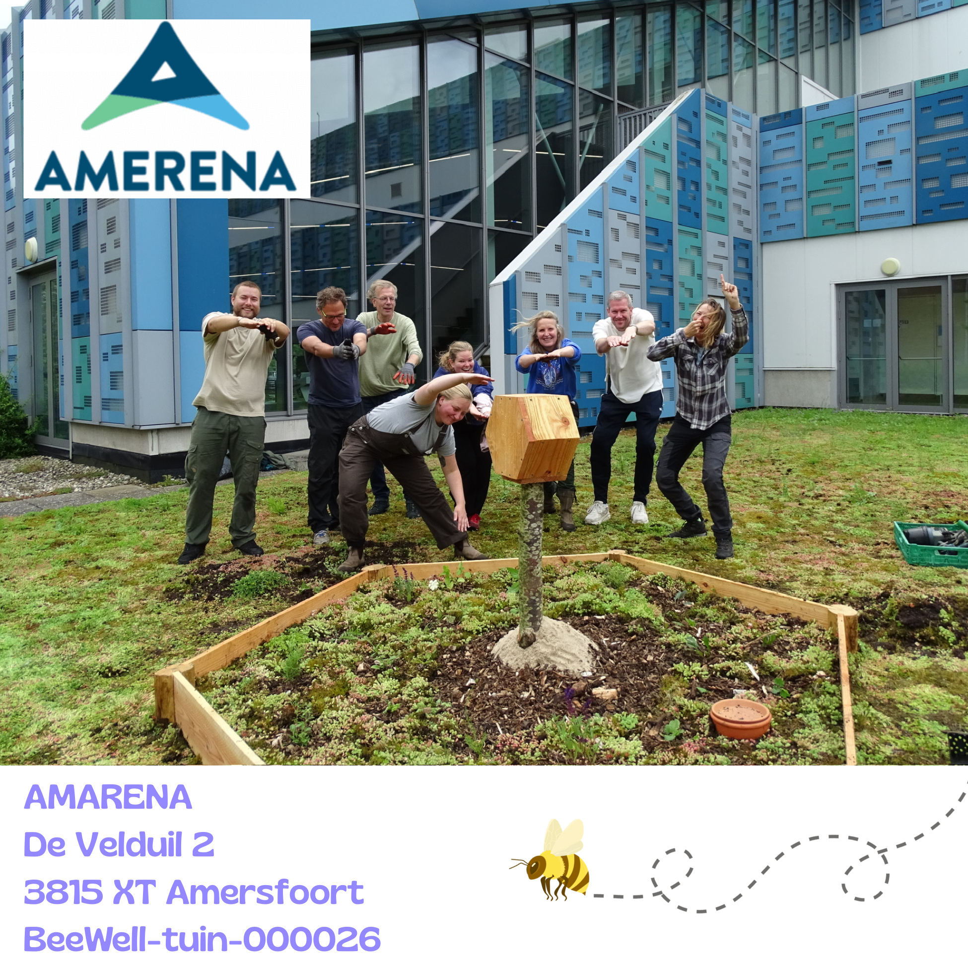 Bij sportcomplex Amarena een NV SRO locatie is Beewell-tuin-000026 geplaatst. Vanuit het zwembad en de kleedkamers is de tuin goed te zien op het garagedak. Samen met andere bloemrijke plekken in de omgeving vormt deze BeeWell-tuin schakels in het Bi