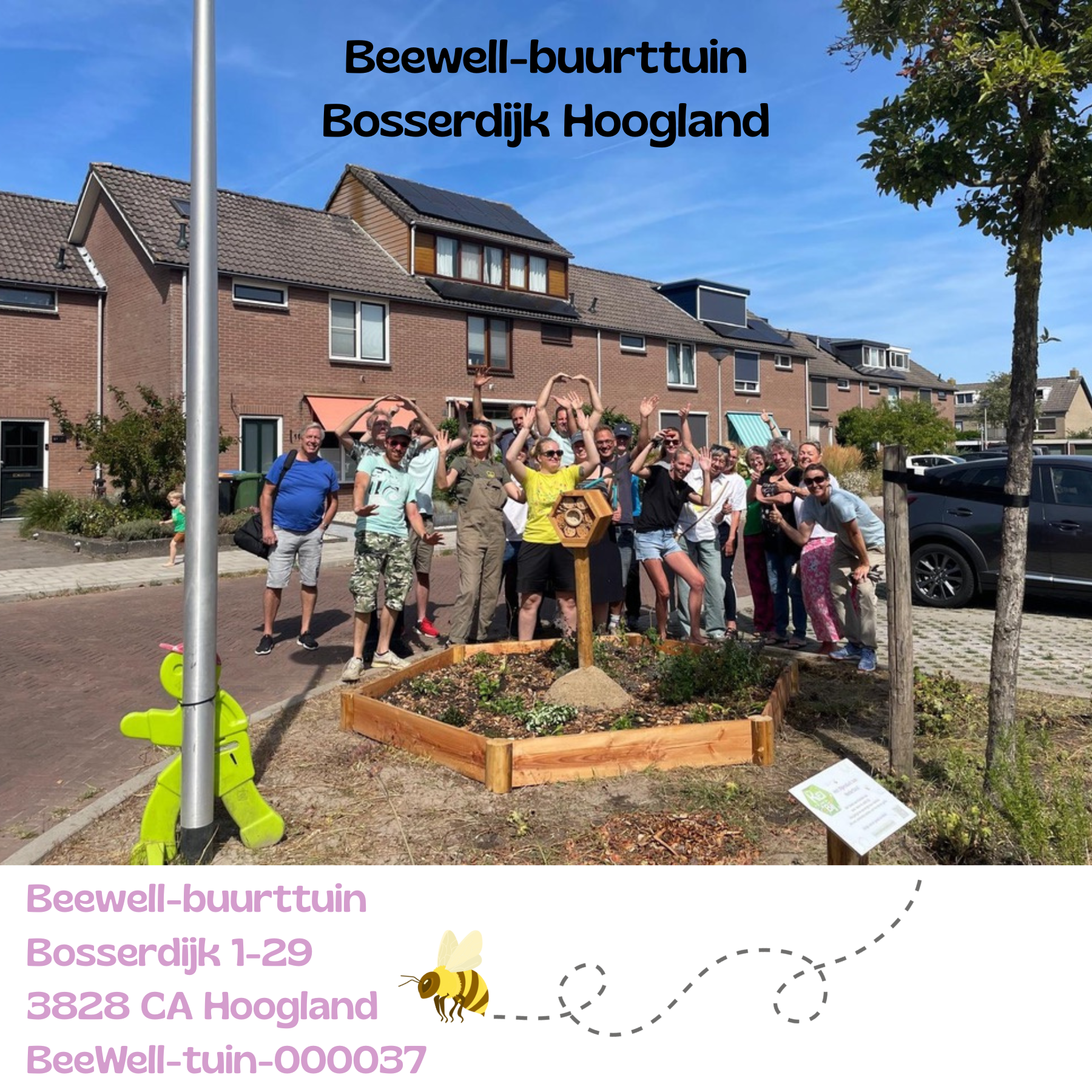Beewell-tuin-000037 is de eerste aangelegde buurttuin in de straat Bosserdijk te Hoogland. Samen met andere bloemrijke plekken in de omgeving vormt deze BeeWell-buurttuin schakels in het Bijenduct van Nederland.