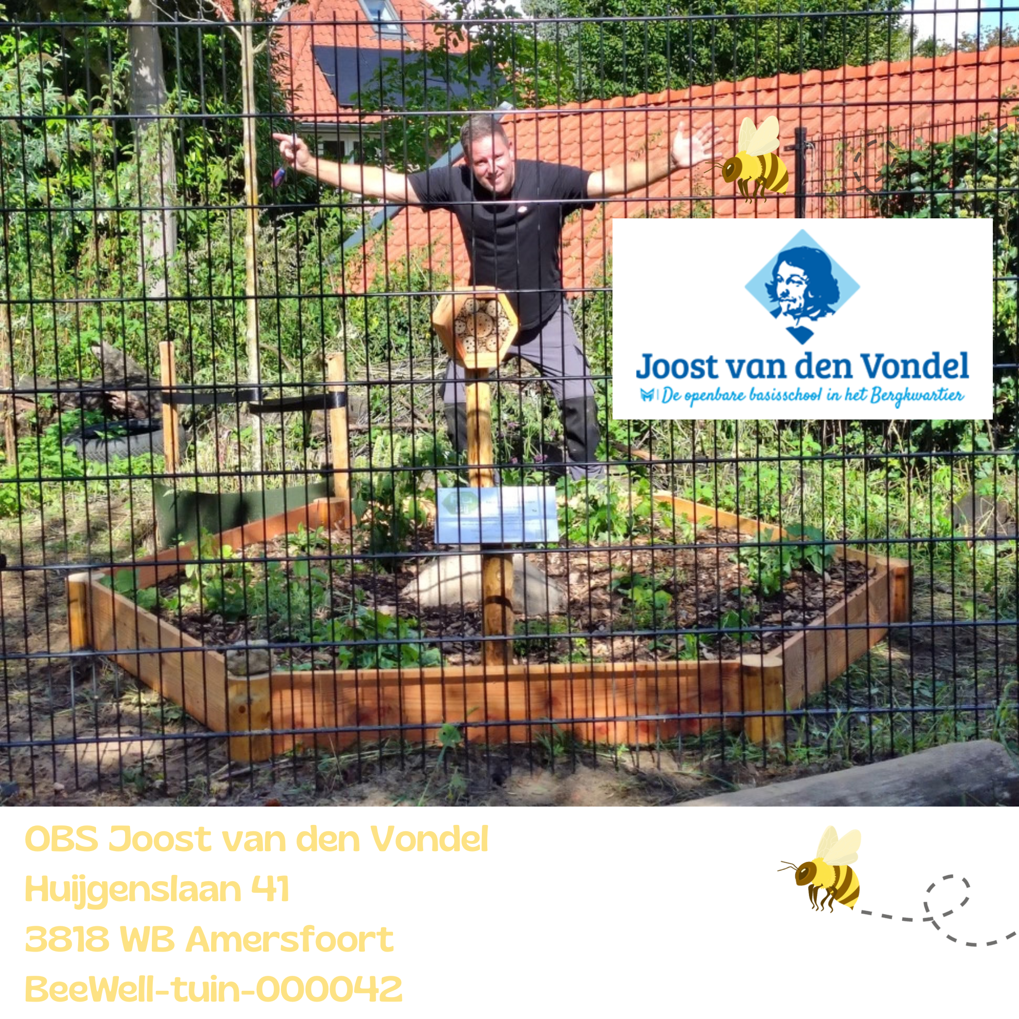 Beewell-tuin-000042 is aangelegd bij obs Joost van den Vondel in de wijk Het Bergkwartier te Amersfoort. Samen met andere bloemrijke plekken in de omgeving vormt deze BeeWell-tuin schakels in het Bijenduct van Nederland.