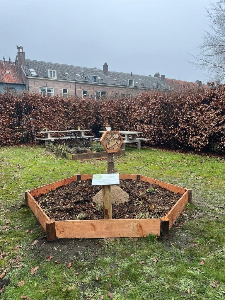 Een BeeWell-tuin in de prachtige kloostertuin van Mariënhof te Amersfoort.