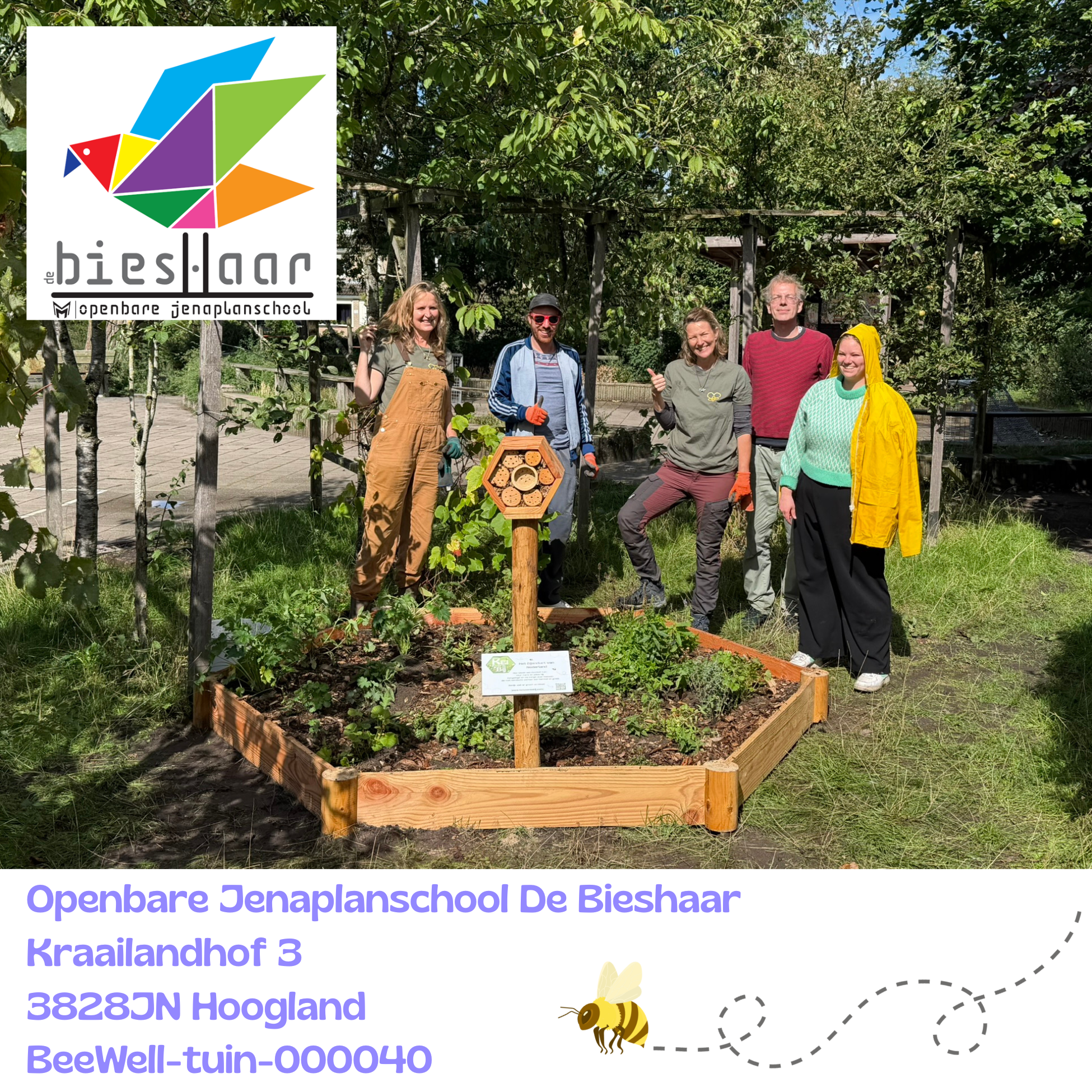 Beewell-tuin-000040 is aangelegd bij Jenaplanschool De Bieshaar in Hoogland. Samen met andere bloemrijke plekken in de omgeving vormt deze BeeWell-tuin schakels in het Bijenduct van Nederland.