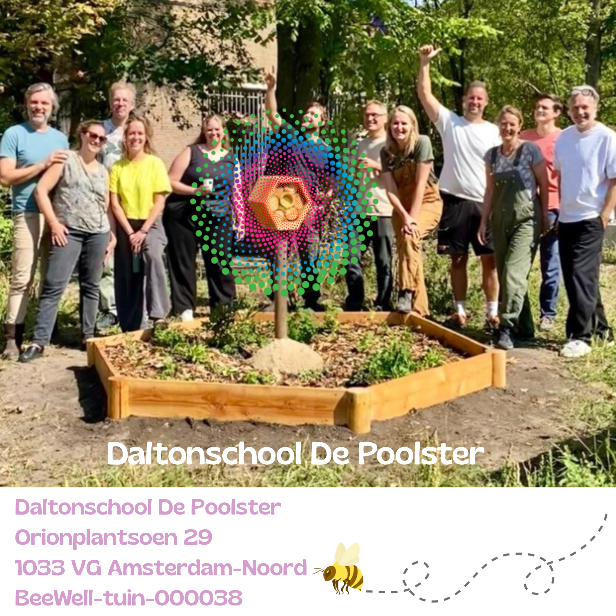 Beewell-tuin-000038 is aangelegd bij Daltonschool De Poolster in Amsterdam. Samen met andere bloemrijke plekken in de omgeving vormt deze BeeWell-tuin schakels in het Bijenduct van Nederland.