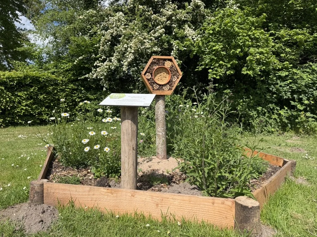 Een bloeiende Beewell-tuin waar 10 verschillende soorten zijn geteld tijdens de bijentelling.
