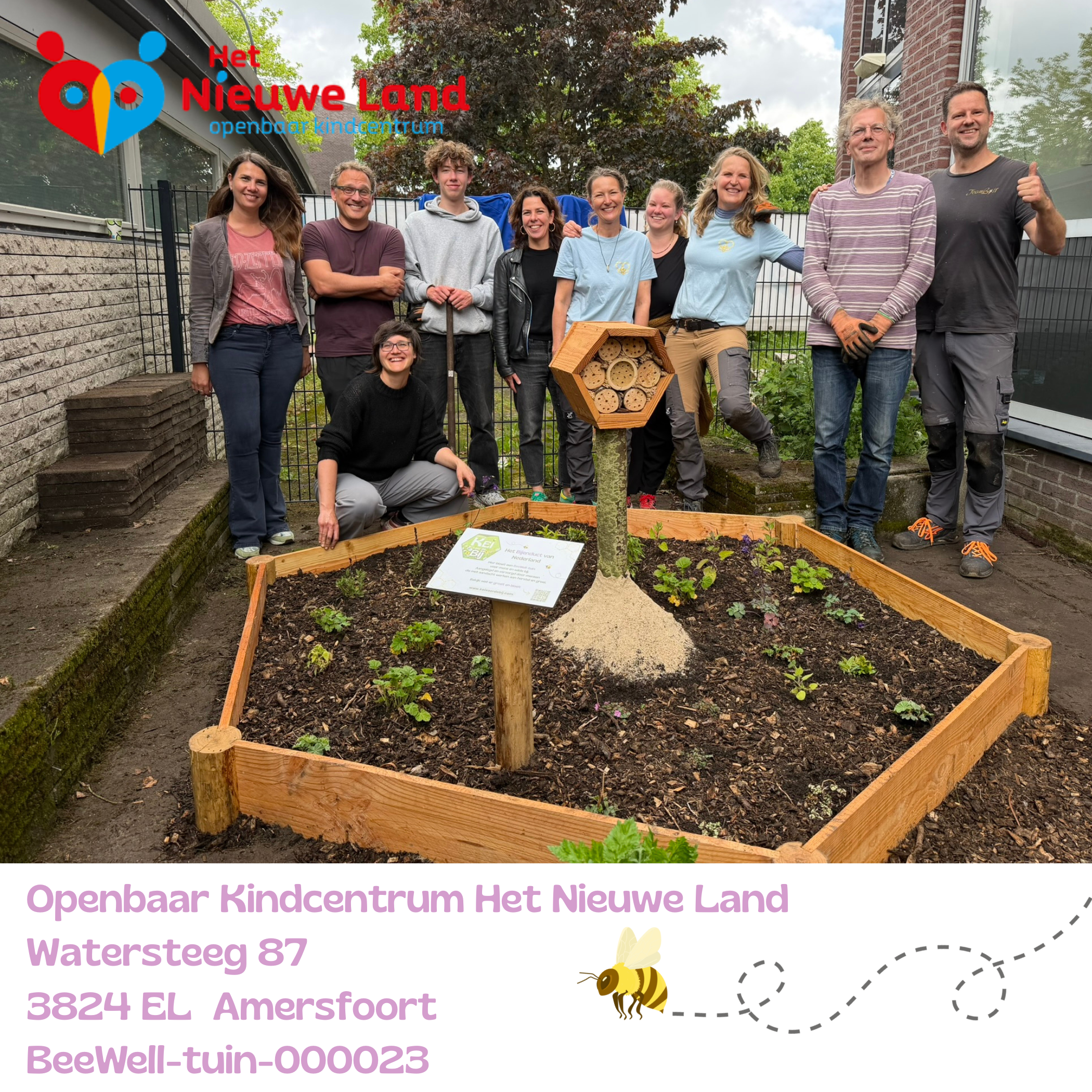 Beewell-tuin-000023 is aangelegd bij basisschool Het Nieuwe Land in de wijk Nieuwland in Amersfoort. Samen met andere bloemrijke plekken in de omgeving vormt deze BeeWell-tuin schakels in het Bijenduct van Nederland.