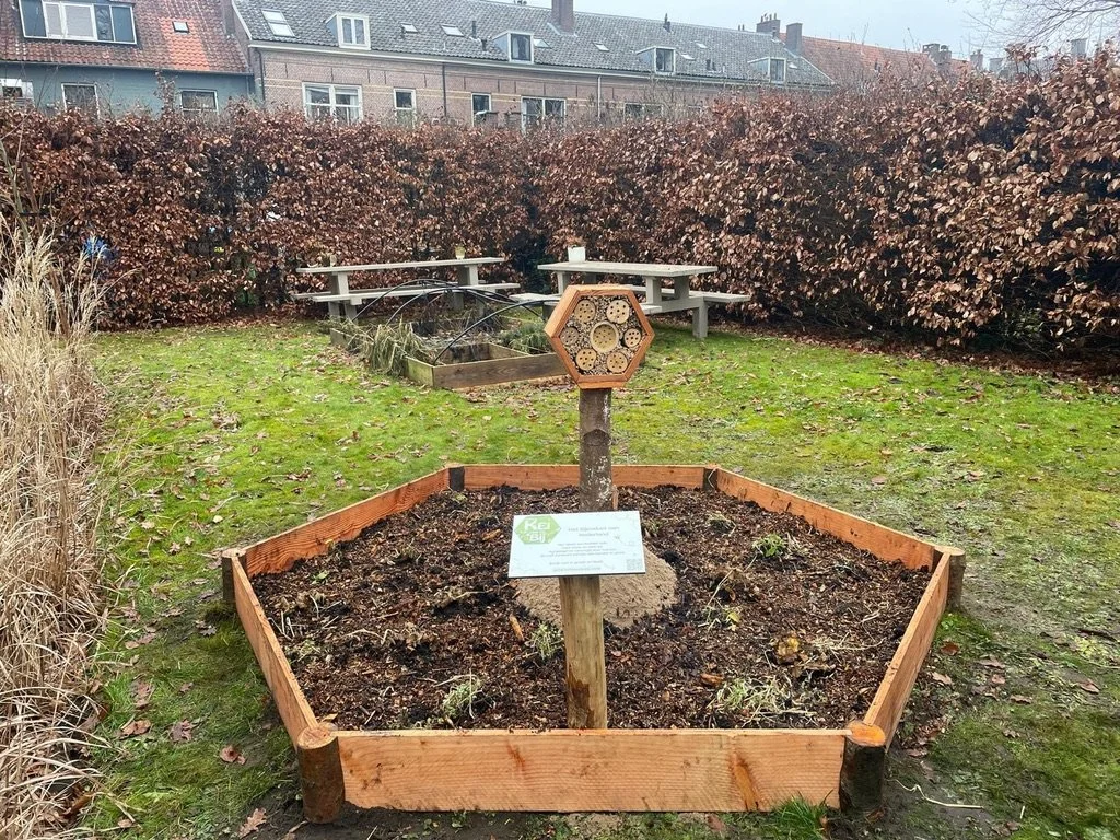 Een honingraatvormige BeeWell-tuin midden in de oude stadskern van de stad Amersfoort.