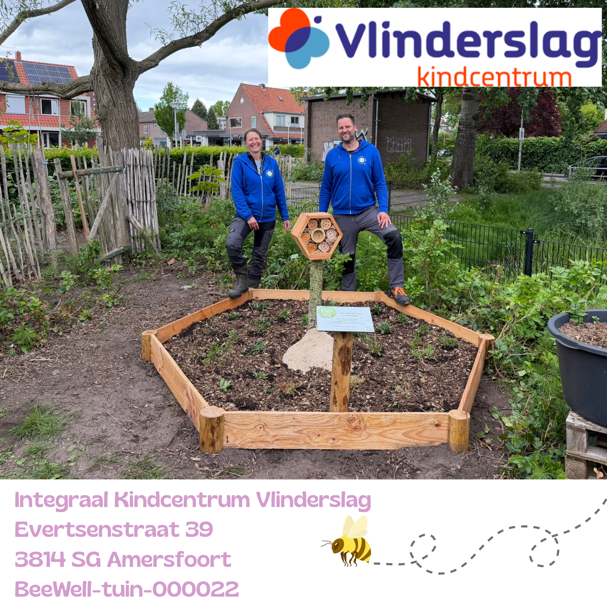 Beewell-tuin-000022 is aangelegd bij basisschool De Vlinderslag in de wijk Kruiskamp in Amersfoort. Samen met andere bloemrijke plekken in de omgeving vormt deze BeeWell-tuin schakels in het Bijenduct van Nederland.