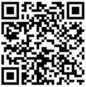 Met jouw donatie help je wilde bijen aan een plek