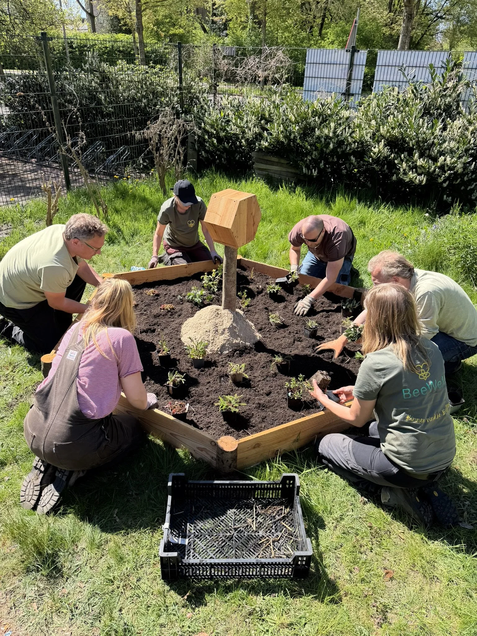 Een groep deelnemers van Beewell werken aan het planten van inheemse bloemen in een Beewell-tuin