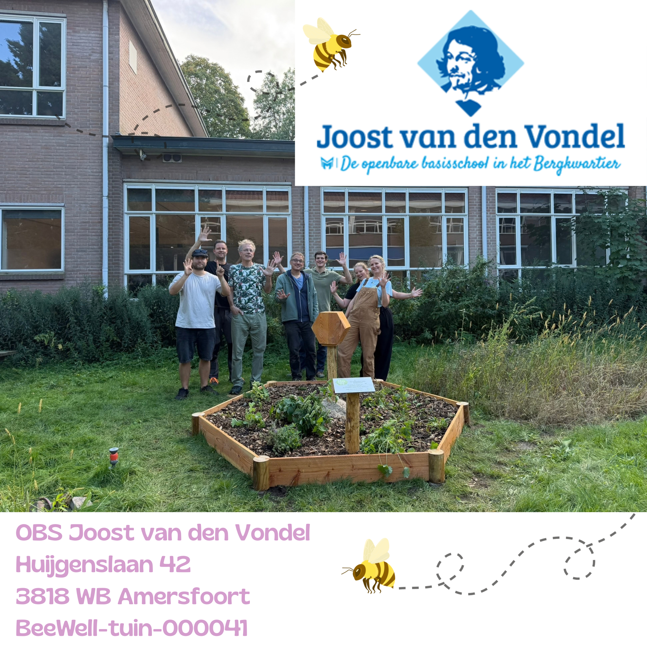 Beewell-tuin-000041 is aangelegd bij obs Joost van den Vondel in de wijk Het Bergkwartier te Amersfoort. Samen met andere bloemrijke plekken in de omgeving vormt deze BeeWell-tuin schakels in het Bijenduct van Nederland.