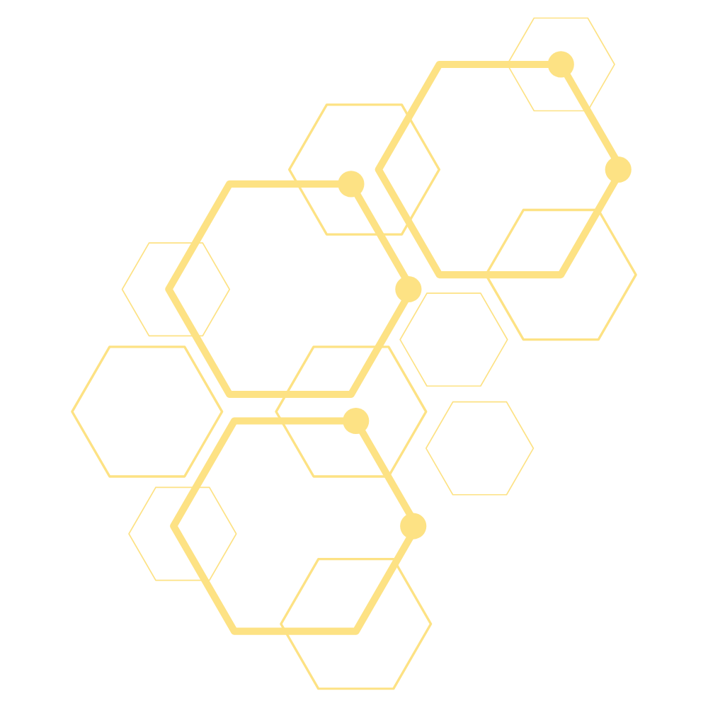 Een digitale illustratie van een netwerk van honingraten ook wel hexagons genaamd.
A digital illustration of interconnected hexagons and lines in gold against a black background, resembling a technological or molecular network diagram.