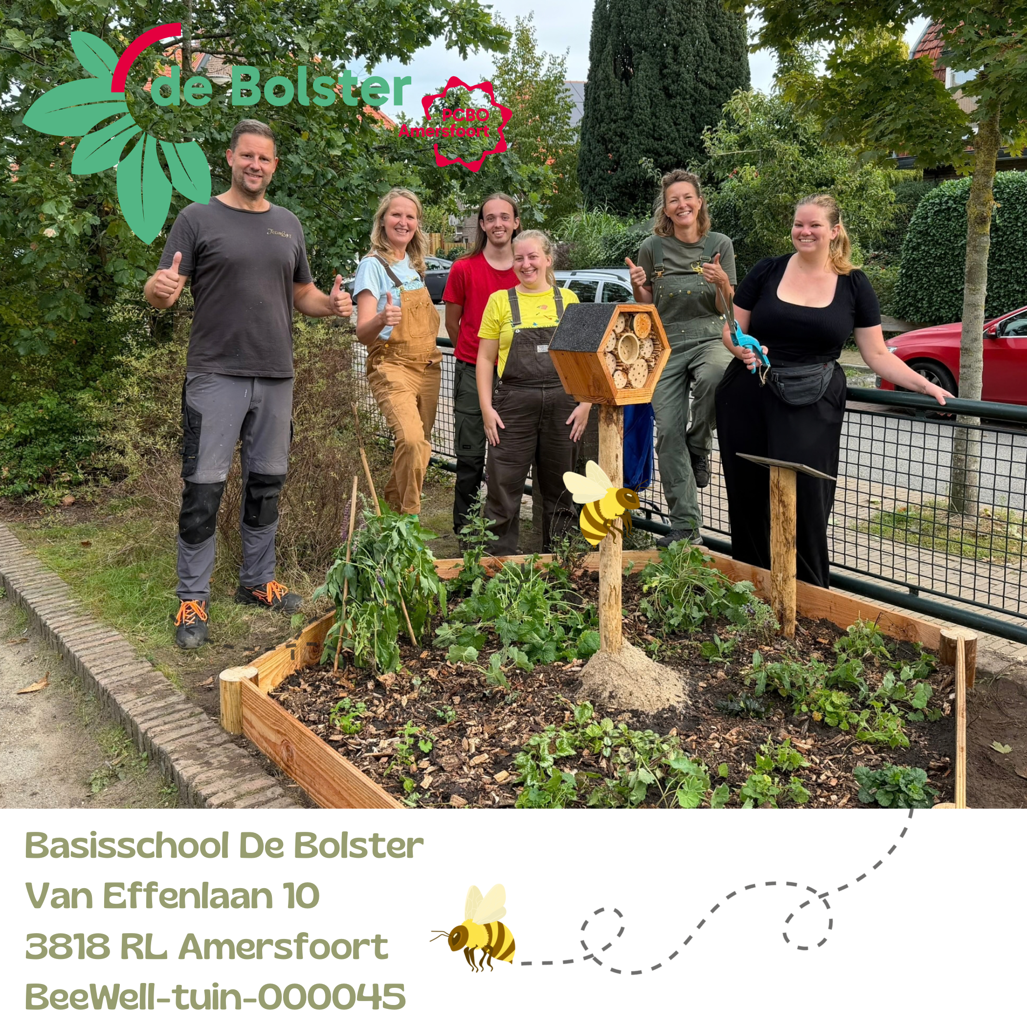 Beewell-tuin-000045 is aangelegd bij basisschool De Bolster in de wijk bergkwartier Amersfoort. Samen met andere bloemrijke plekken in de omgeving vormt deze BeeWell-tuin schakels in het Bijenduct van Nederland.