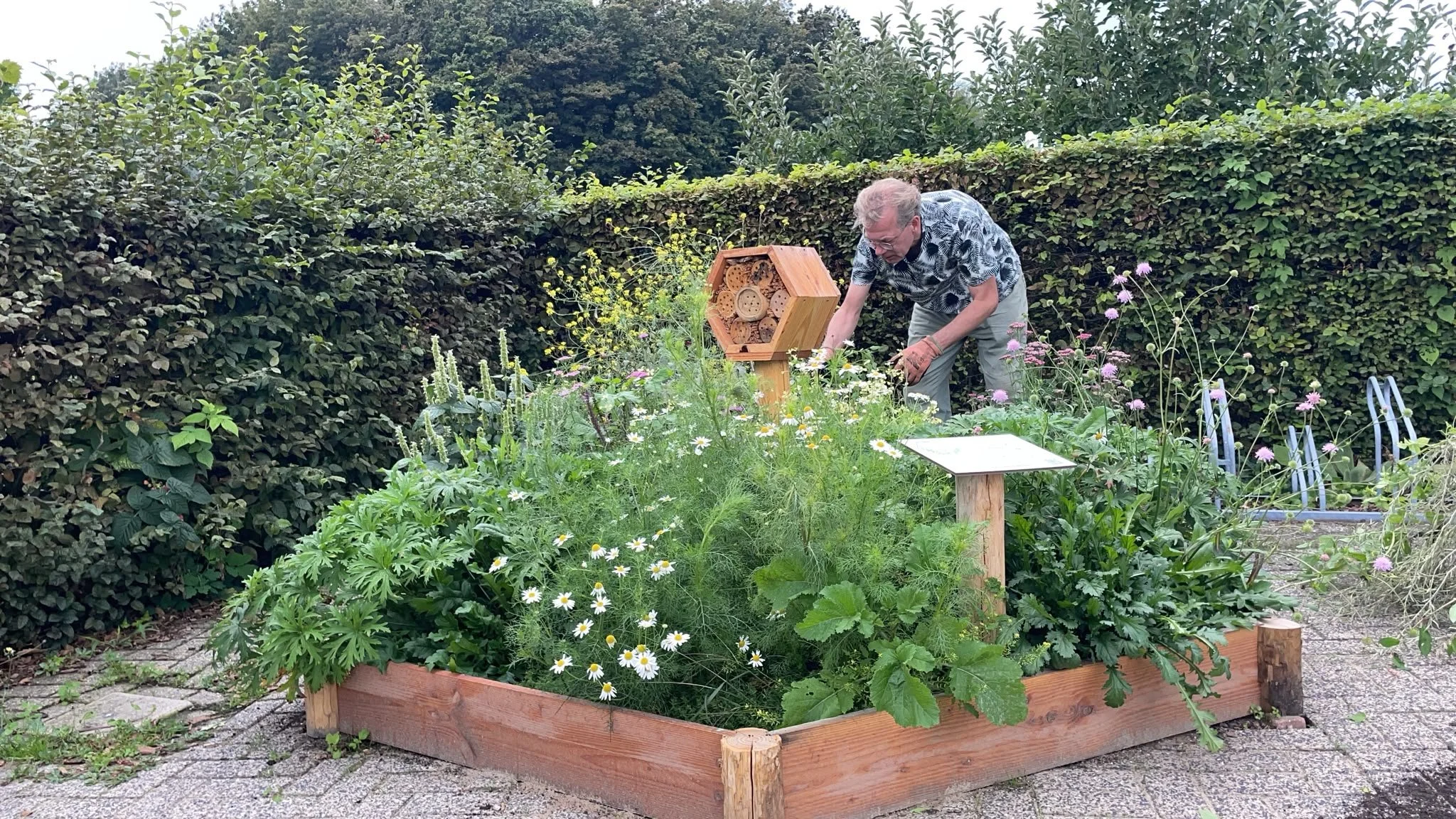Een Beewell-tuin met bijenhotel die wordt onderhouden door een vrijwilliger.