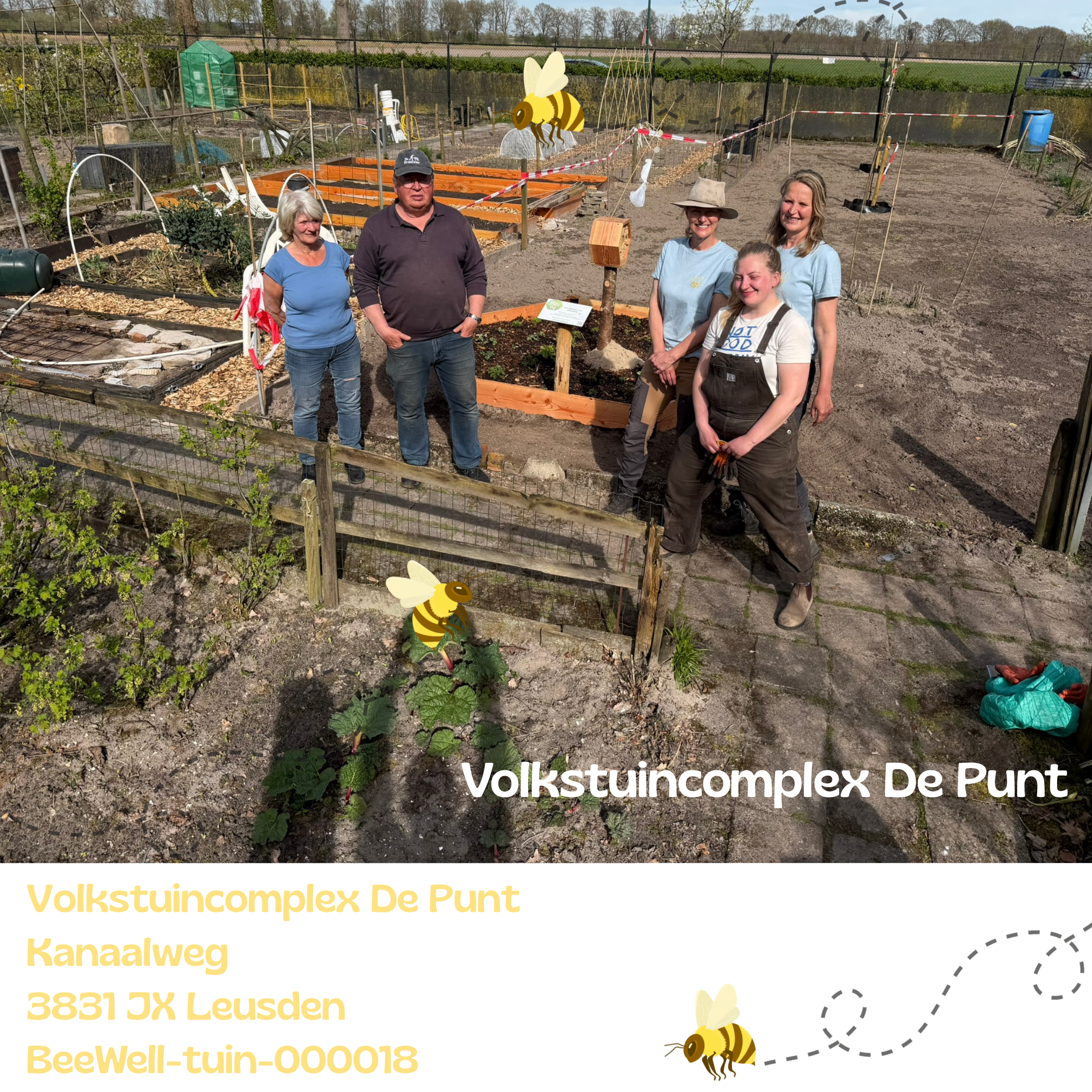 Beewell-tuin 18 bij Volkstuincomplex de Punt (VVCL) waar wilde bijen welkom zijn.