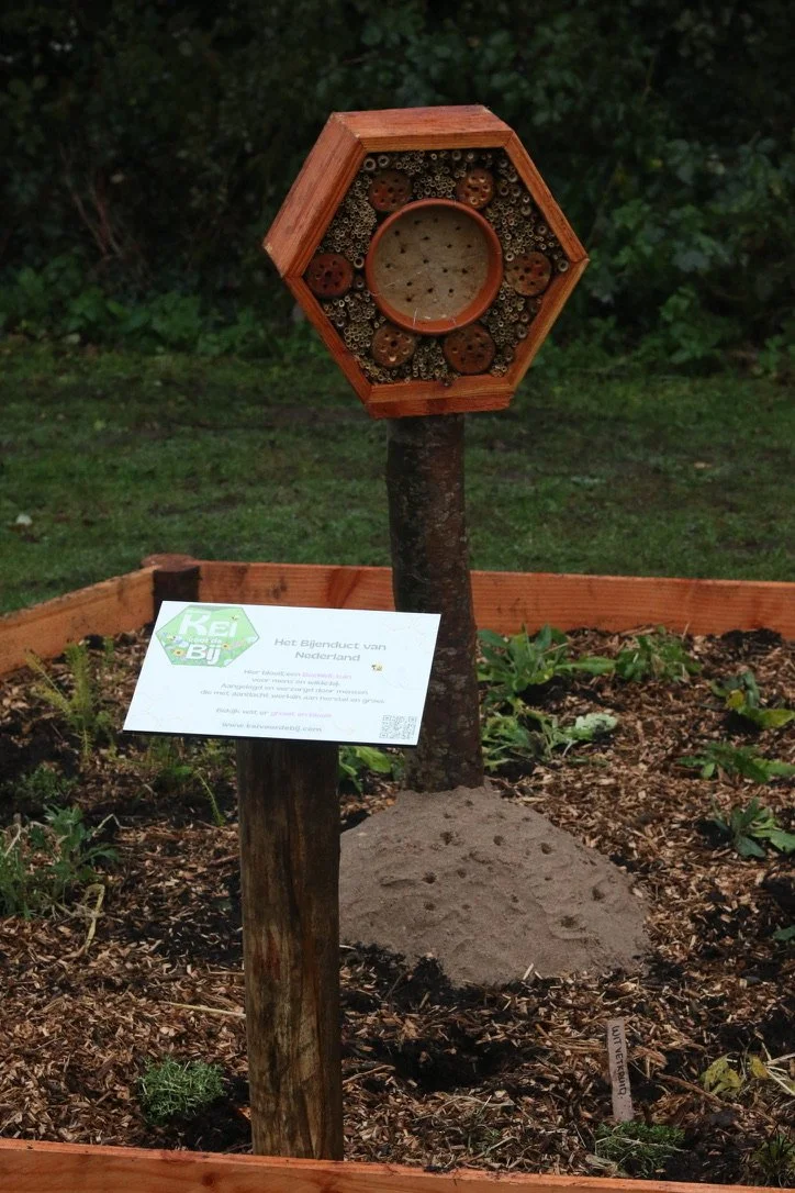 BeeWell-tuin bij Padel33 in amersfoort met bijenhotel en informatiebord.