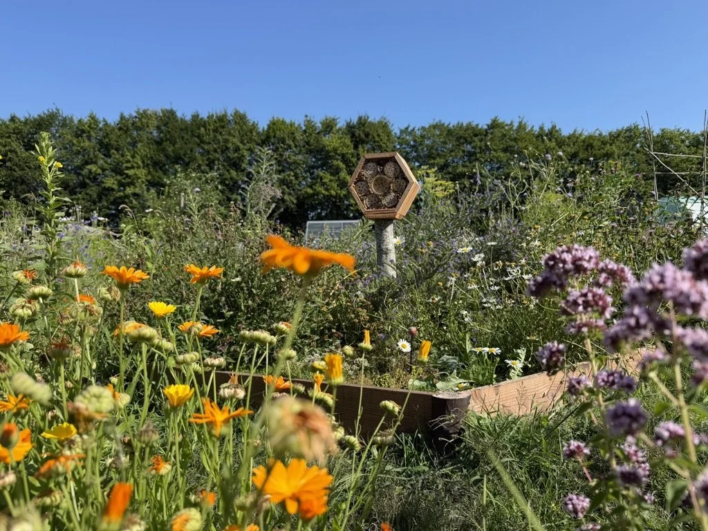 Een Beewell-tuin met bloemen, een bijenhotel en een bos aan de horizon onder een blauwe hemel.