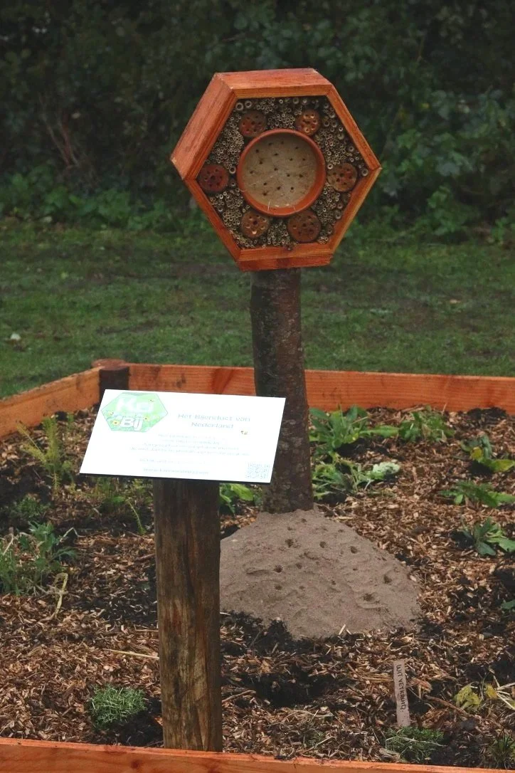 Een BeeWell-tuin met een wilde bijenhotel en zand rondom voor de wilde bijen die in de grond nestelen.