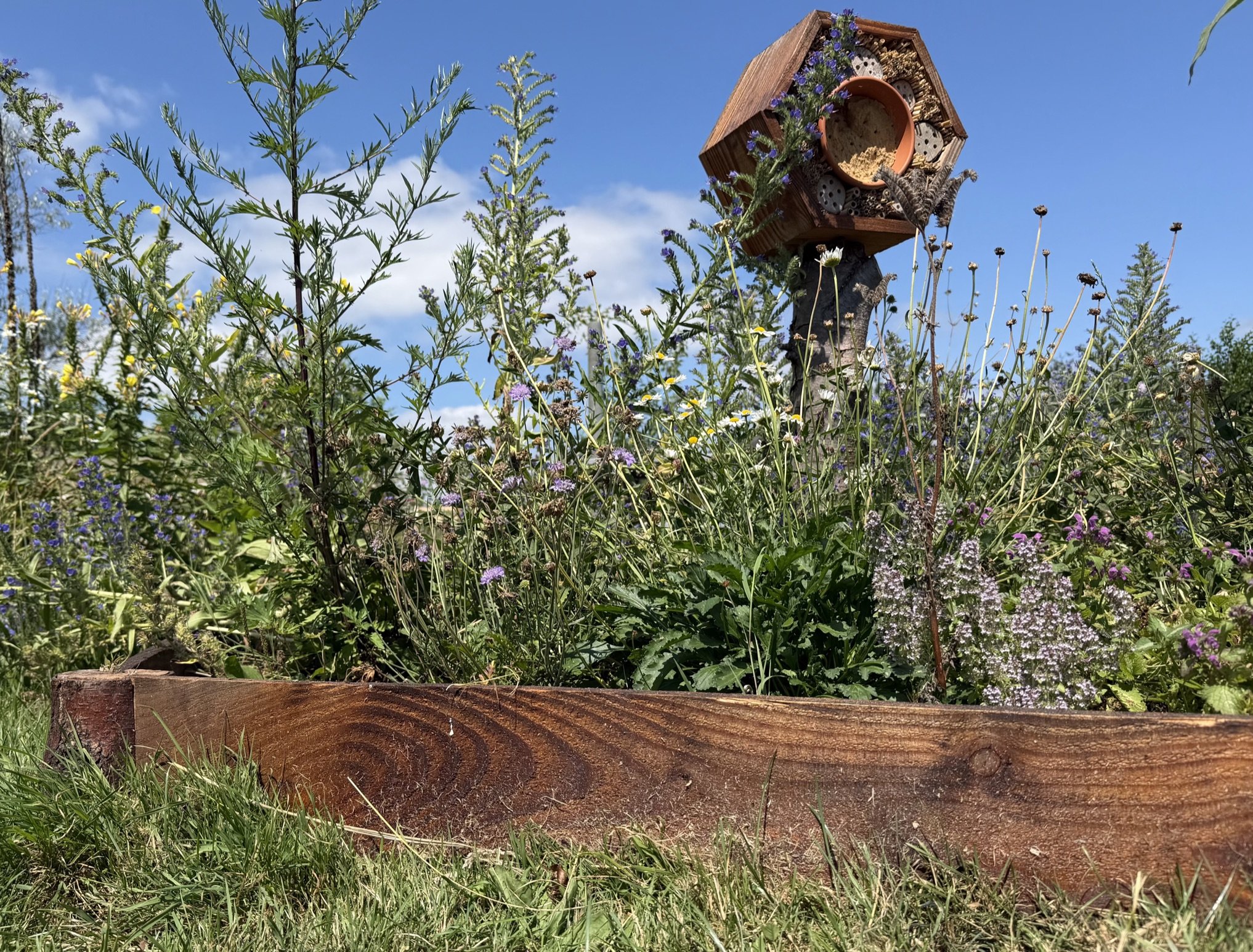 Een Beewell Bijenhotel met rondom bloemen die volop in bloei staan.