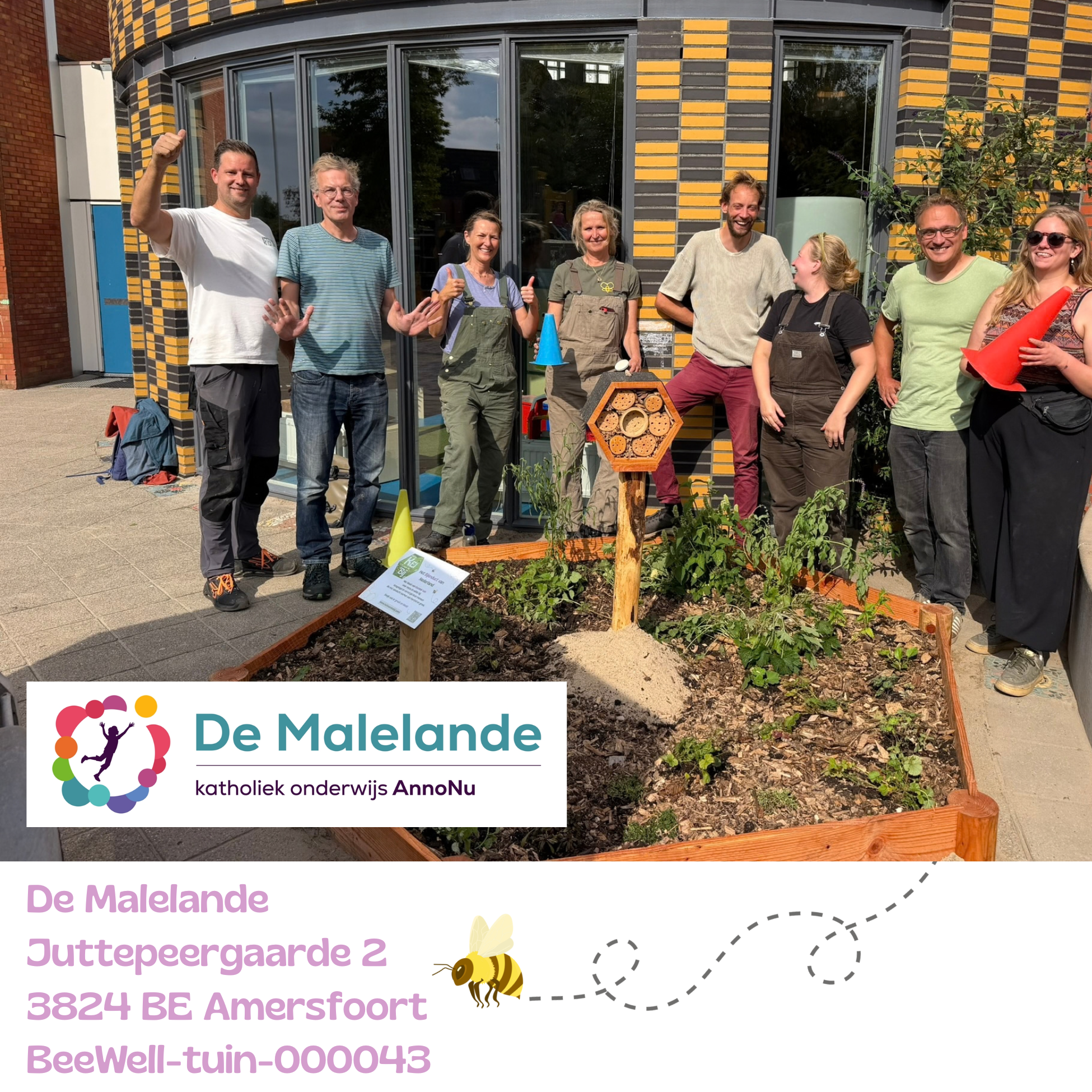 Beewell-tuin-000043 is aangelegd bij basisschool De Malelande in de wijk Nieuwland te Amersfoort. Samen met andere bloemrijke plekken in de omgeving vormt deze BeeWell-tuin schakels in het Bijenduct van Nederland.