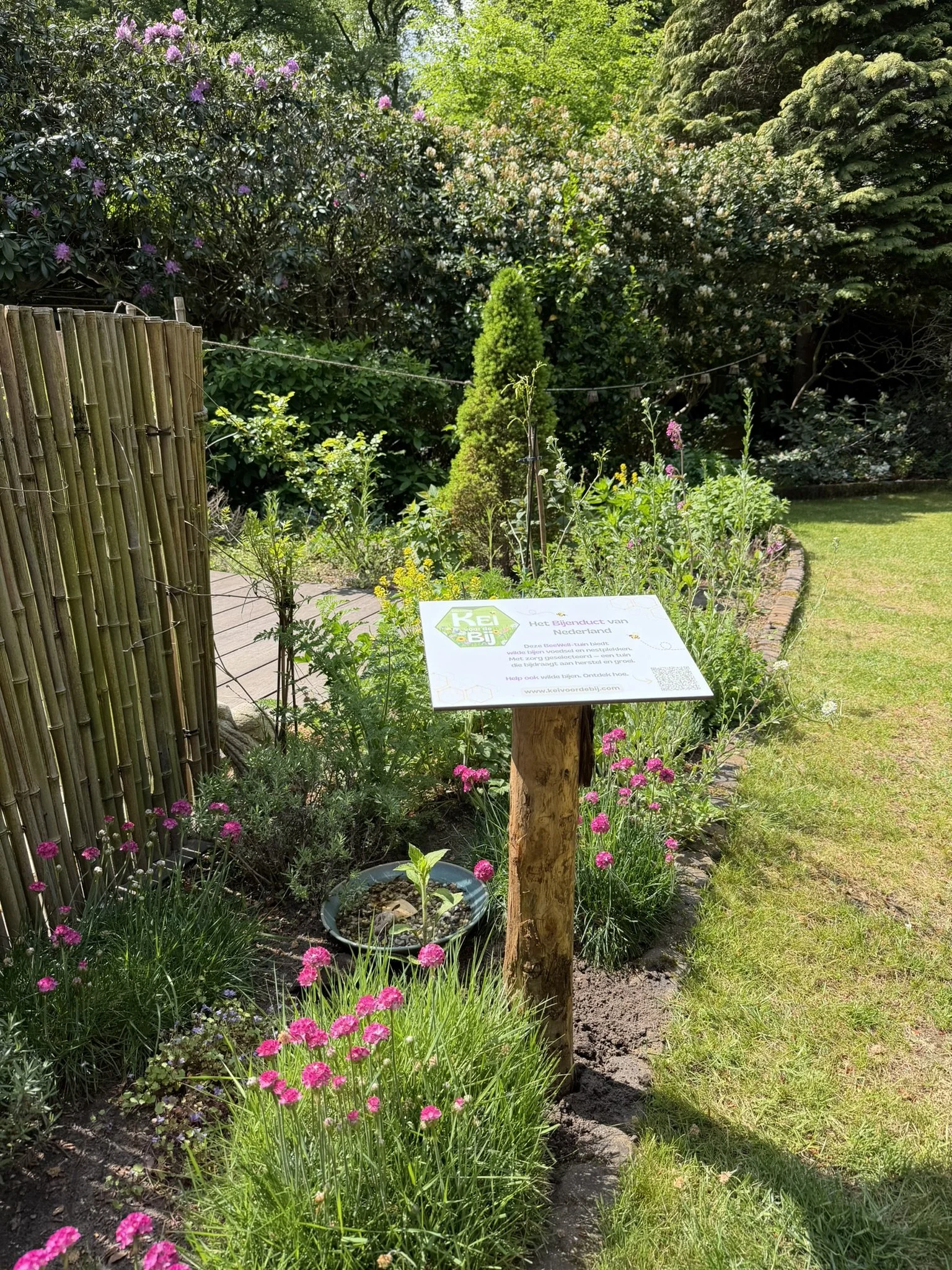 Een mooi voorbeeld van een wilde bijvirendelijke tuin met inheemse planten en bloemen, nestplekken en drinkplekken voor wilde bijen.