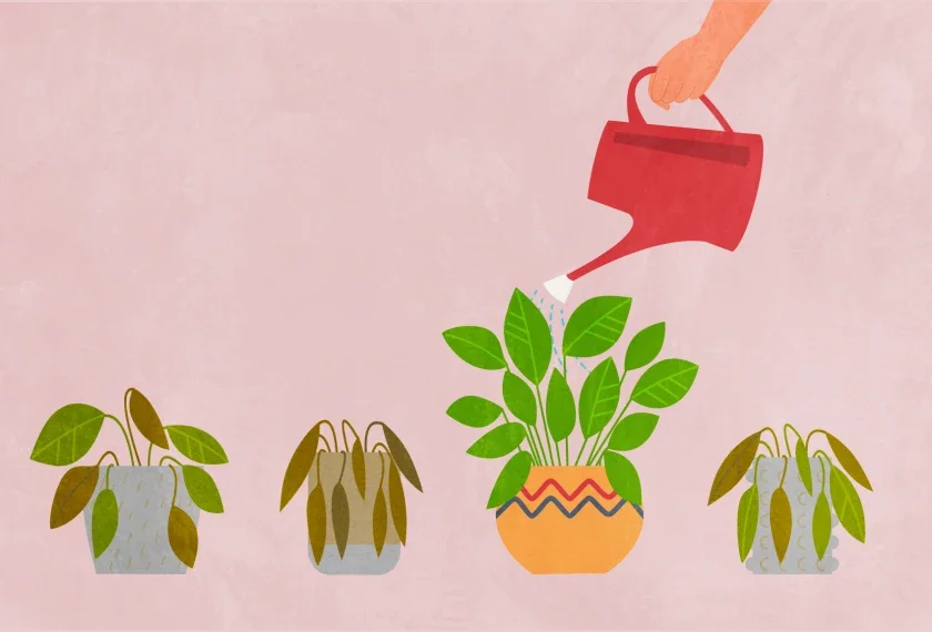 Why is there so much instruction in the "science of reading"?