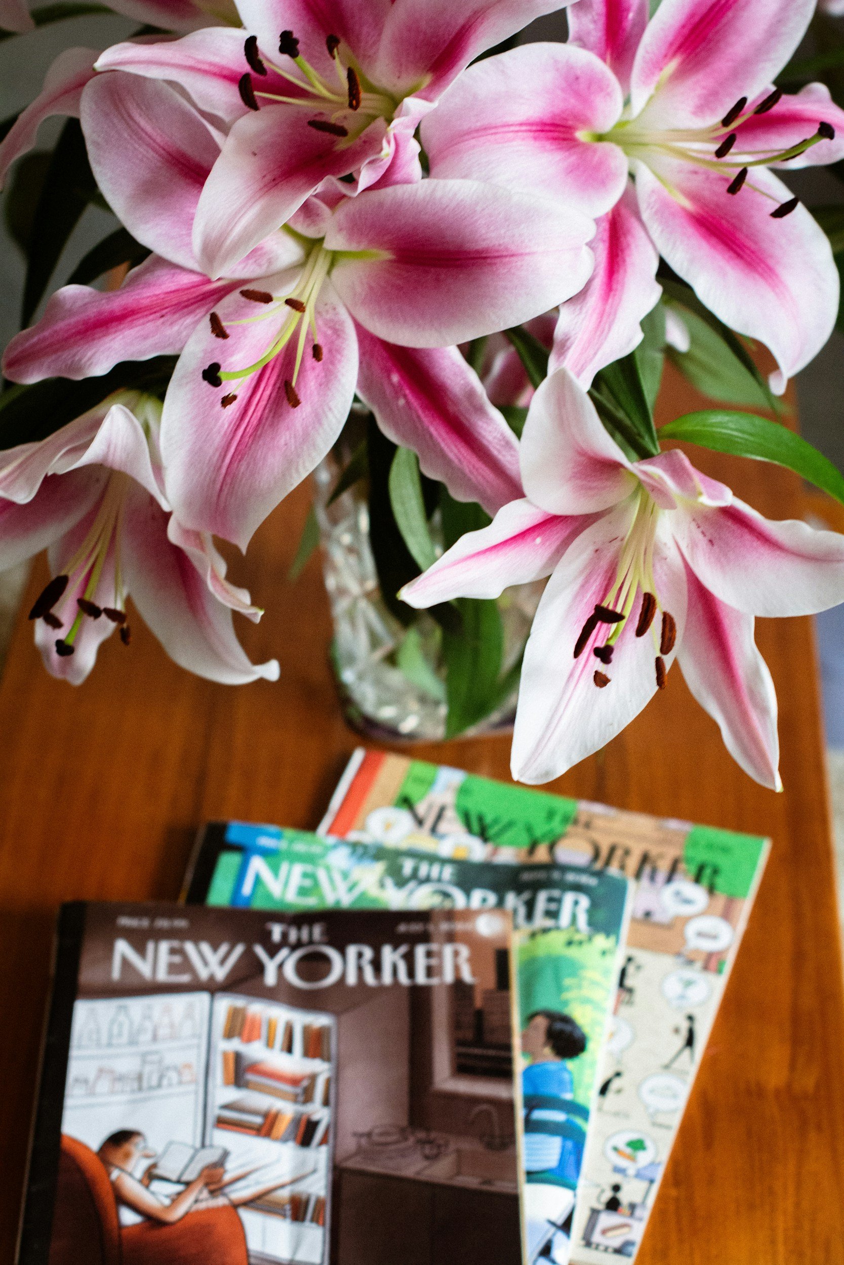 That New Yorker article