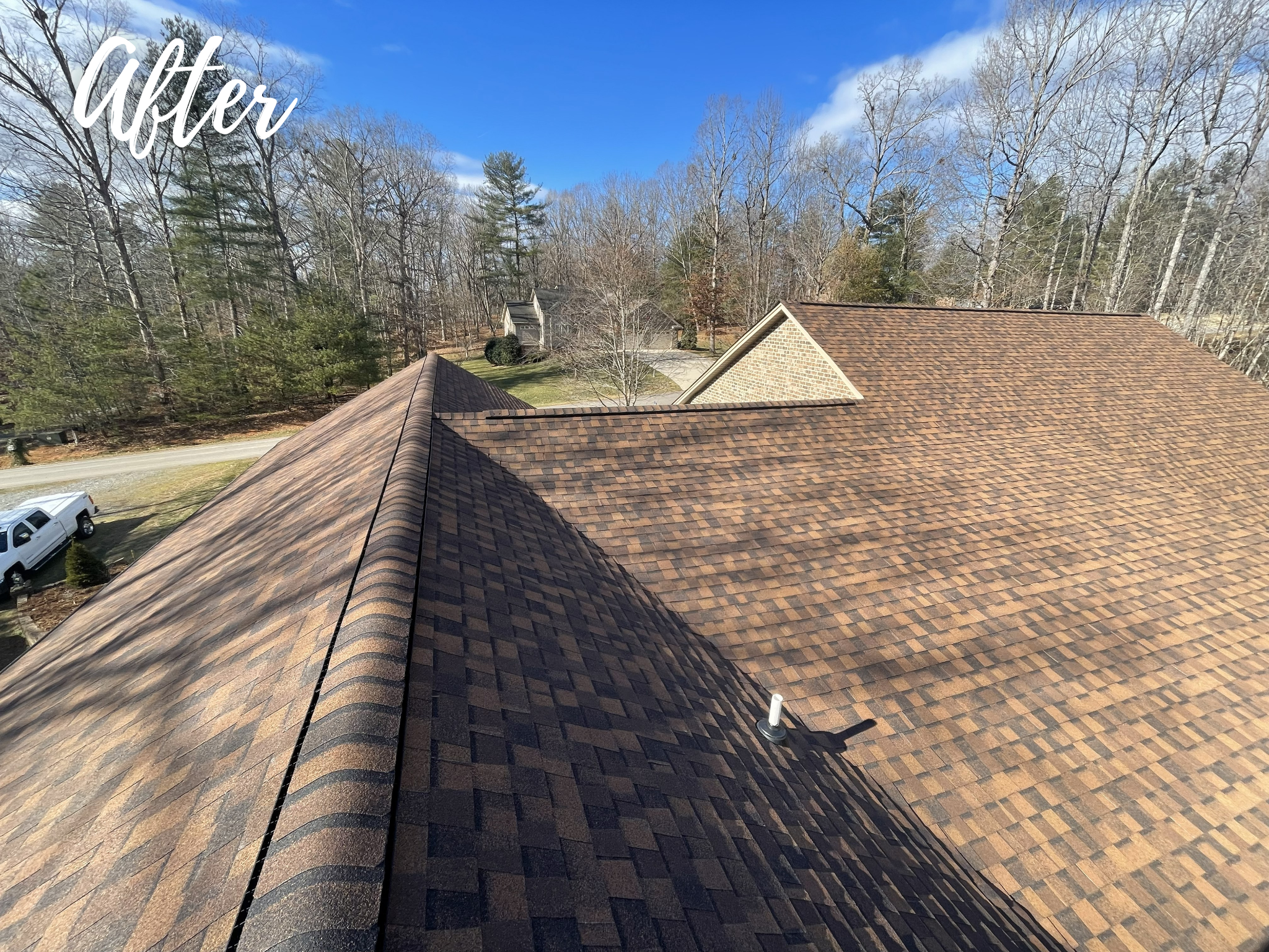 Cheek After Overview.png