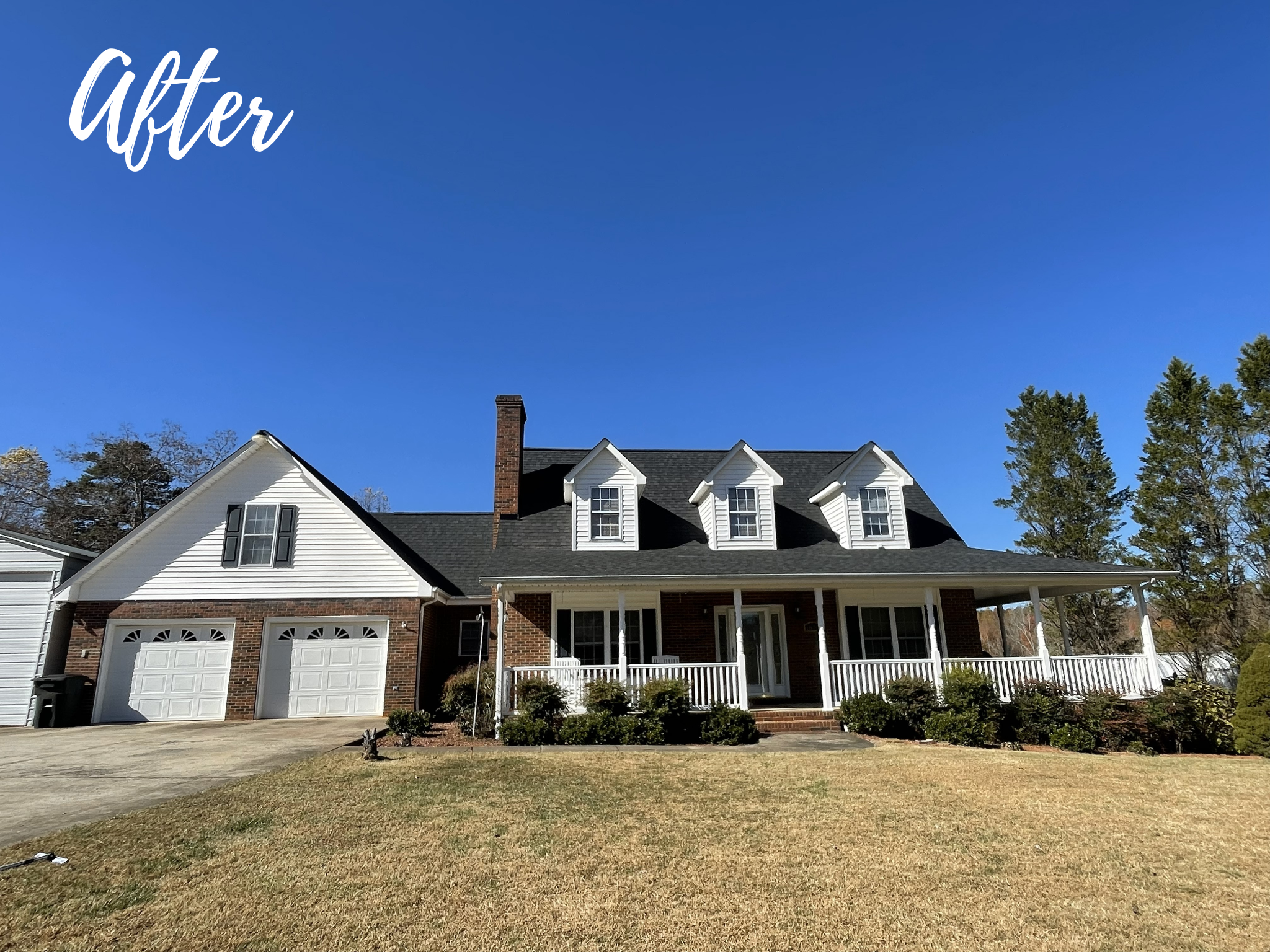 Burl Sprouse After.png