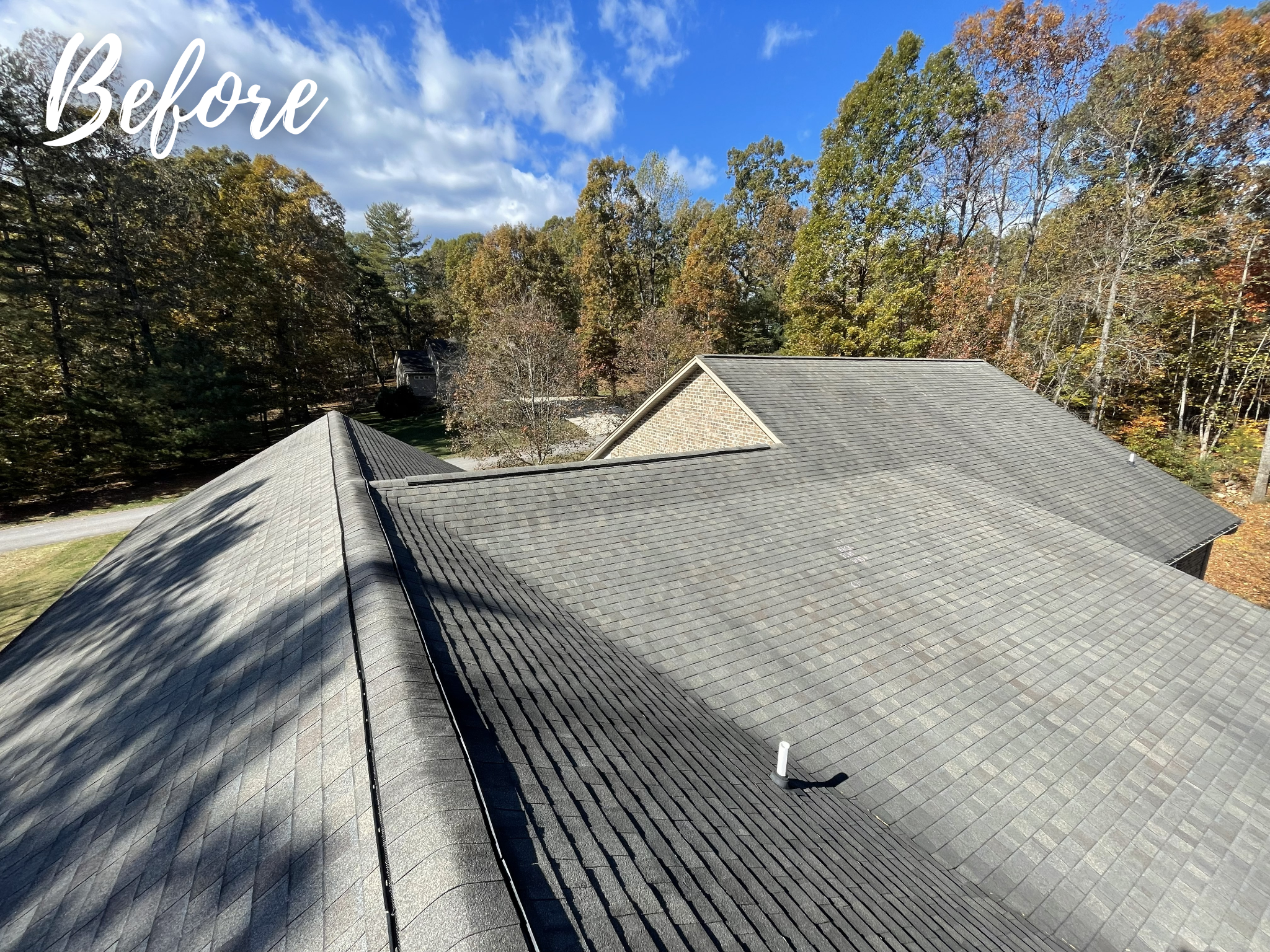 Cheek Before Overview.png