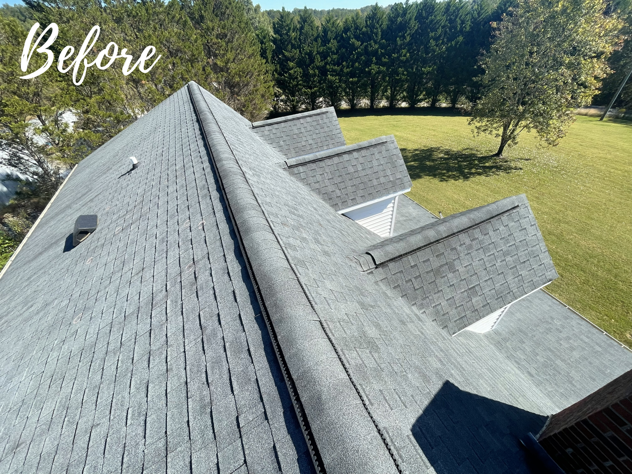 Burl Sprouse - Before 2.png