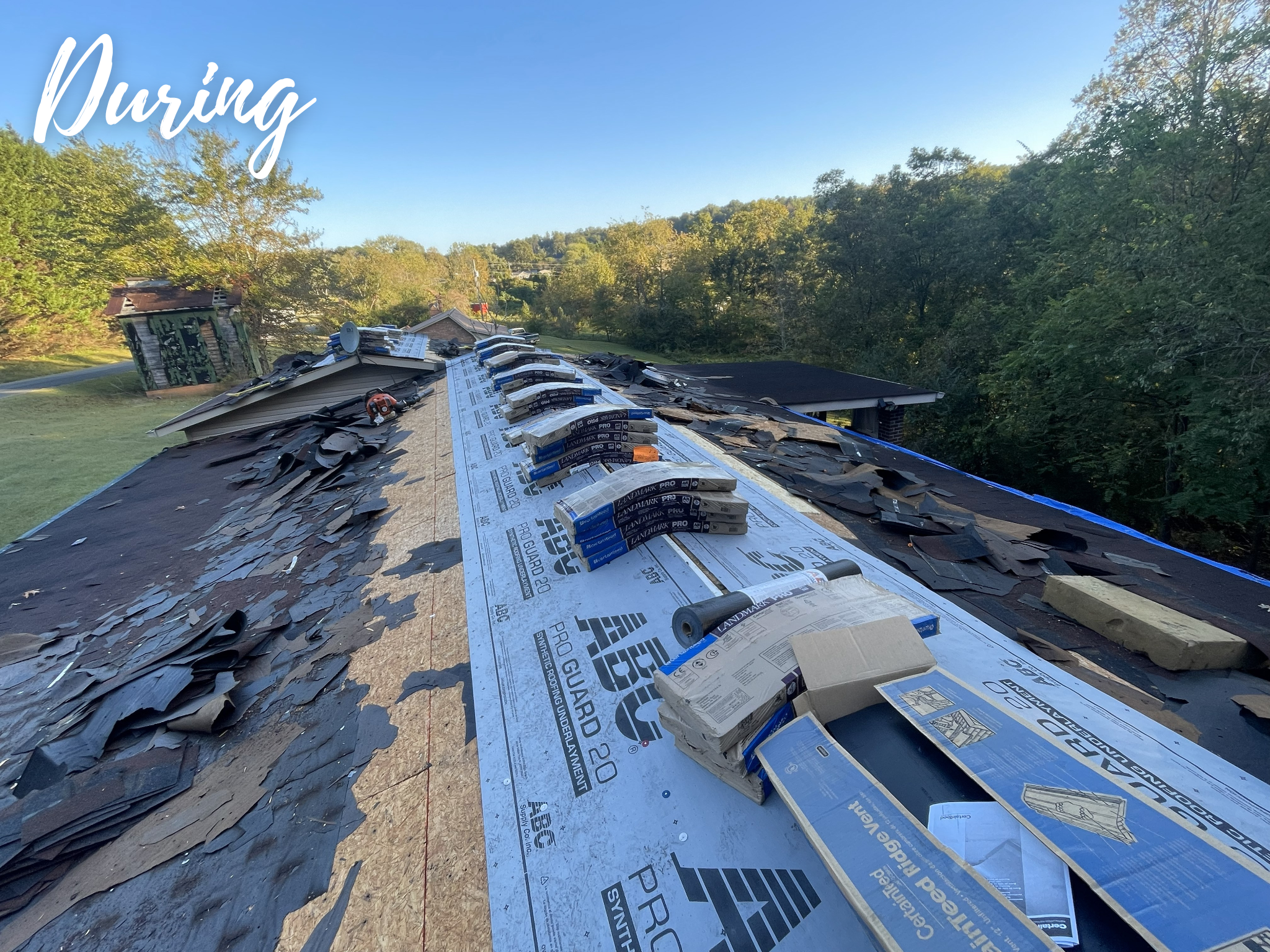 Parkinson During.png