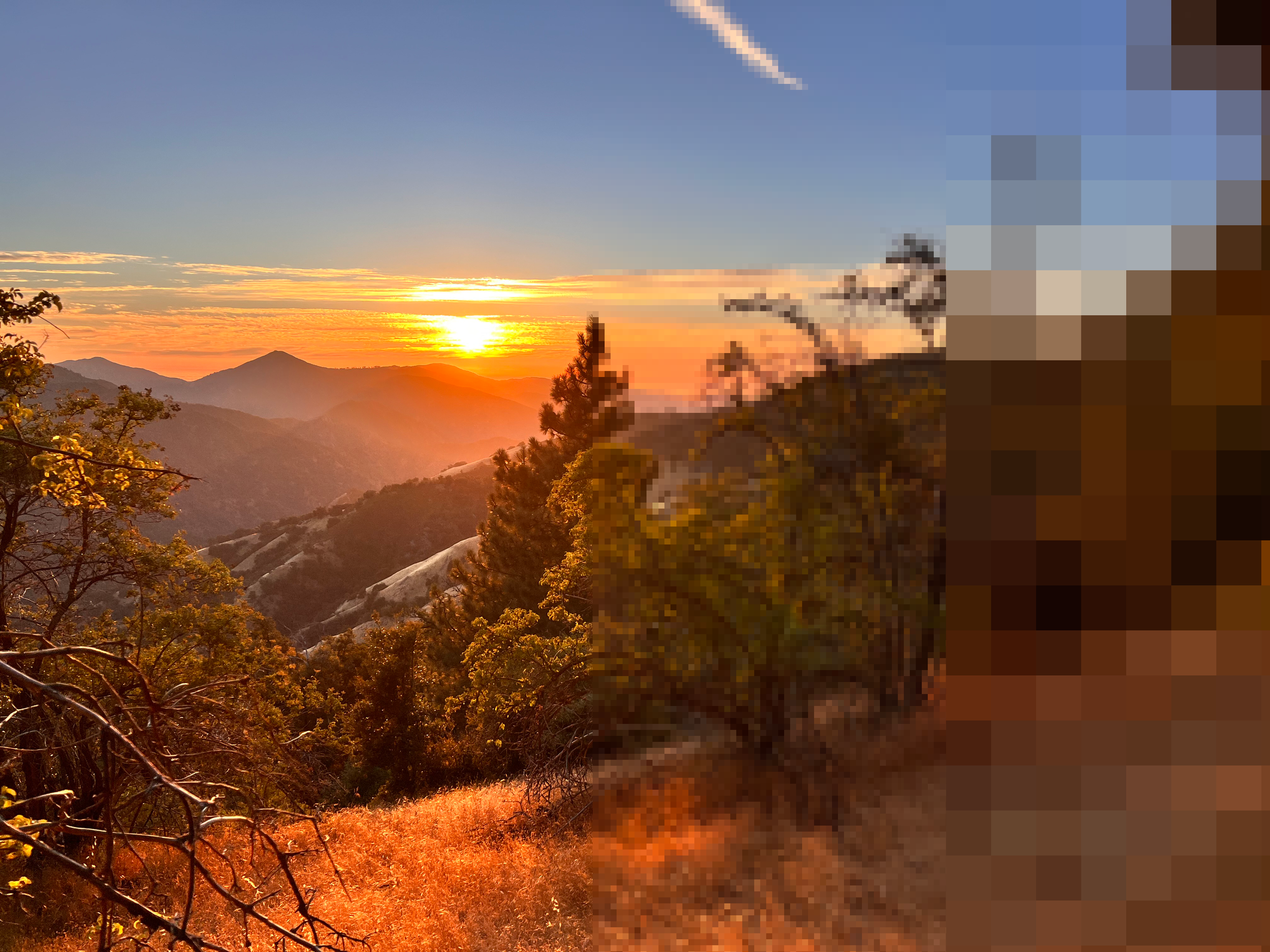 Finally, A Fresh Coat of Pixels