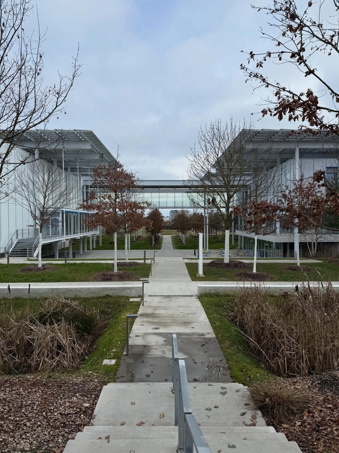Stepping into CERN feels like visiting the edge of human curiosity.
Miles underground, machines chasing the smallest particles imaginable.  Love the Lego version.