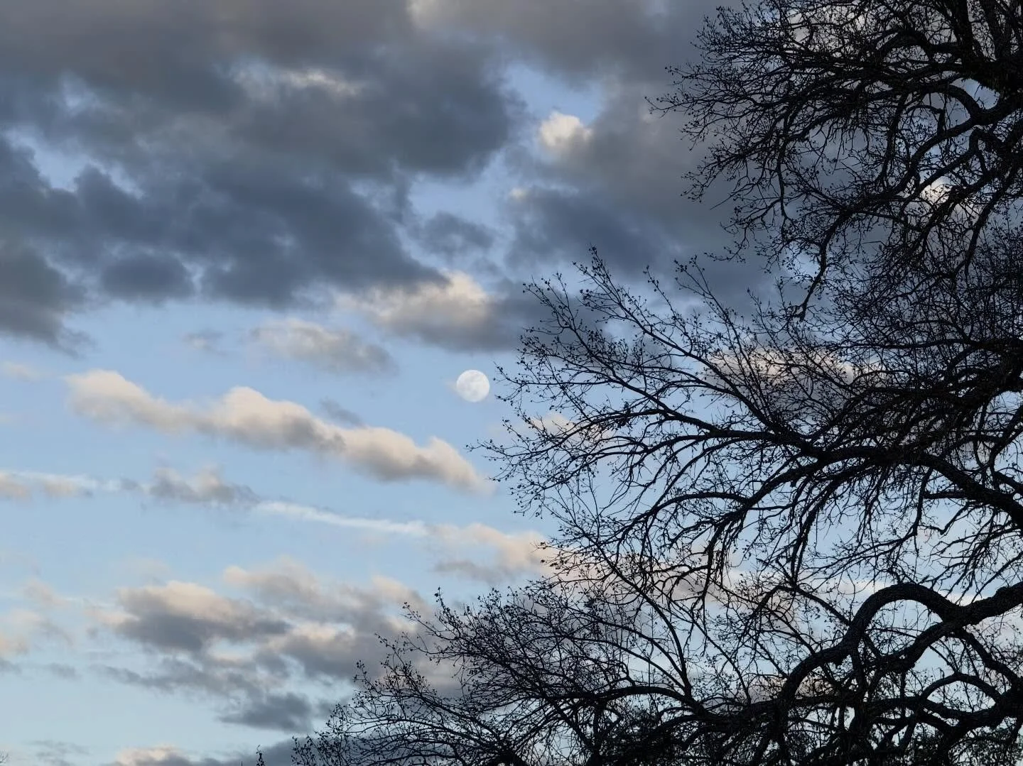 What the Wilderness Gives Back

There&rsquo;s a quiet shift that happens when you spend enough time in the wilderness.

At first you&rsquo;re there for a purpose. For me, that purpose has always been hunting. Moving slowly through the backcountry bef