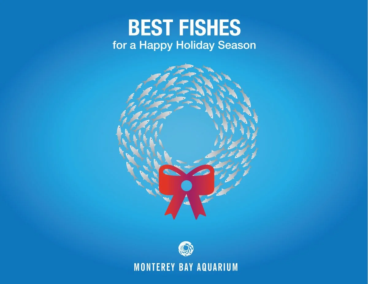 Best Fishes and Twenty Years of Holiday Thinking