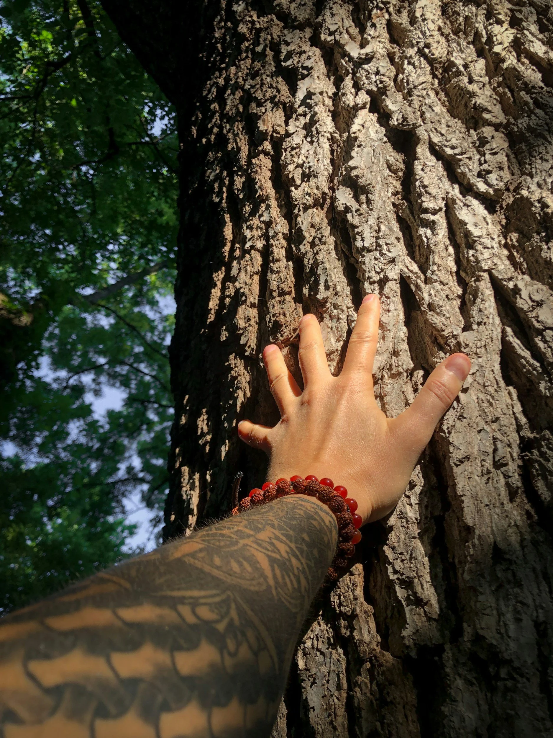 What Does "Safety" Actually Mean at a Plant Medicine Retreat?