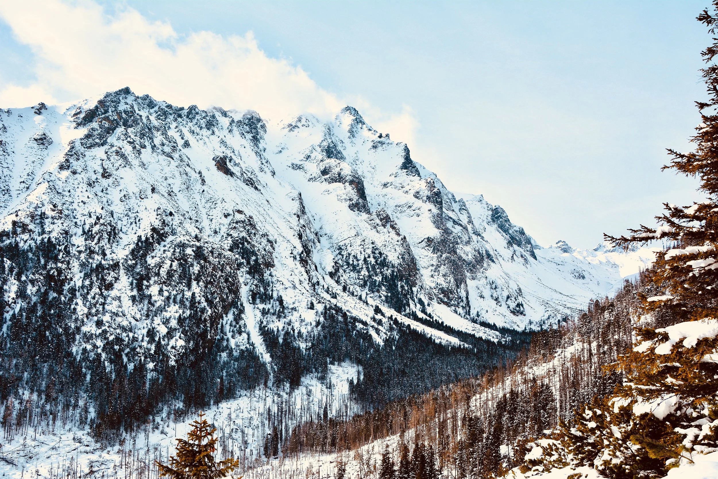 Winter Solstice Retreat